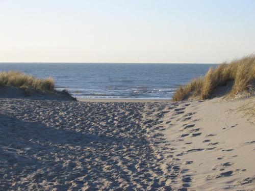 Photo 49