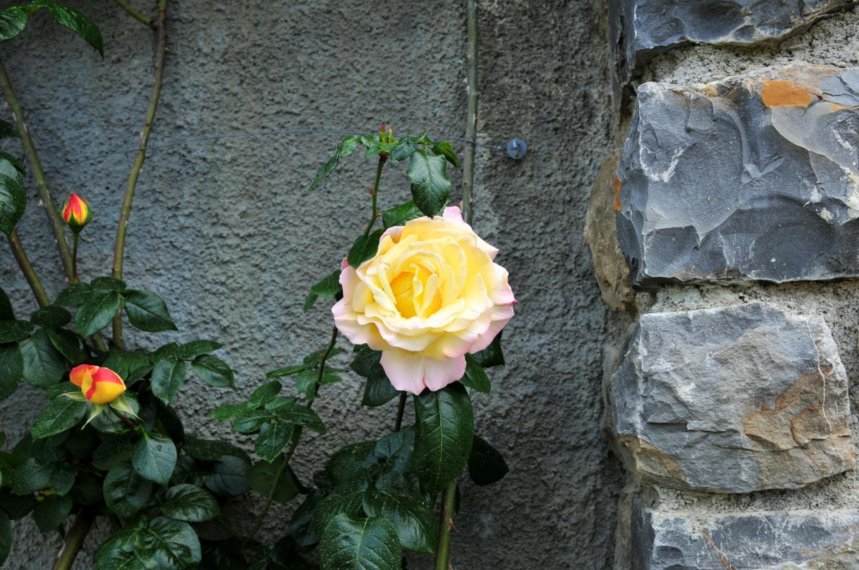 Photo 29