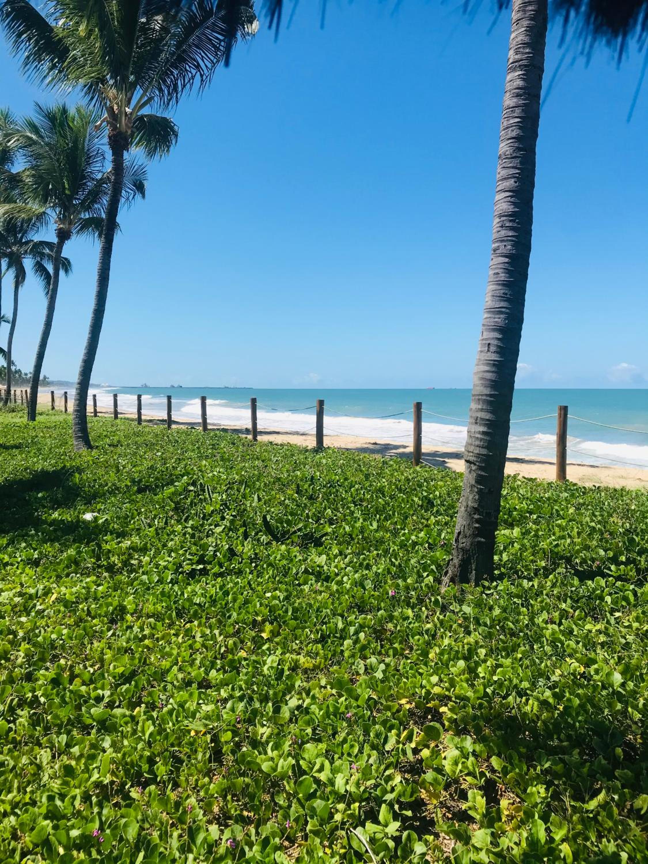 Oka Beach Residence flat Térreo - Muro Alto - Porto de Galinhas - 104D