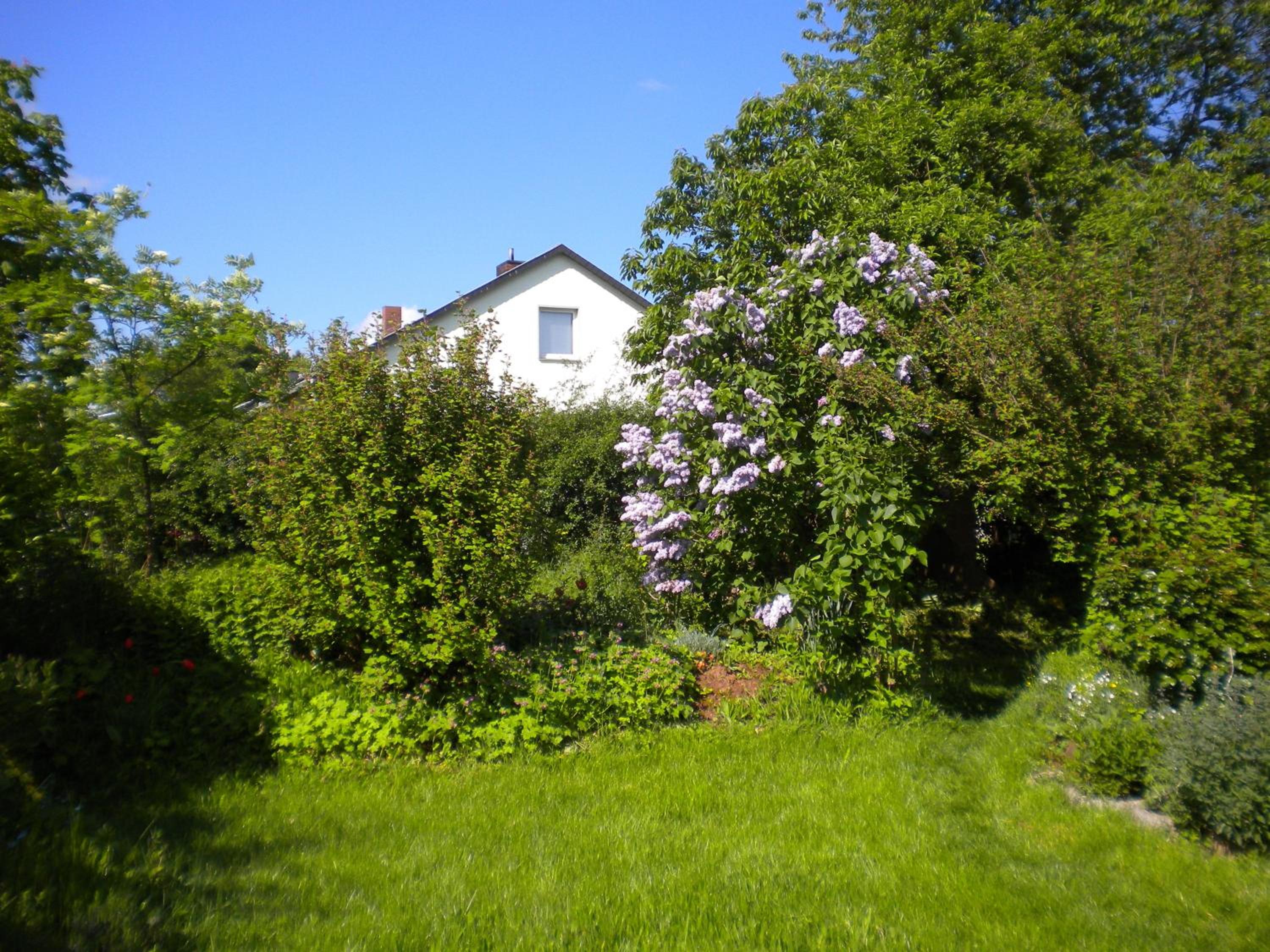 Photo 52