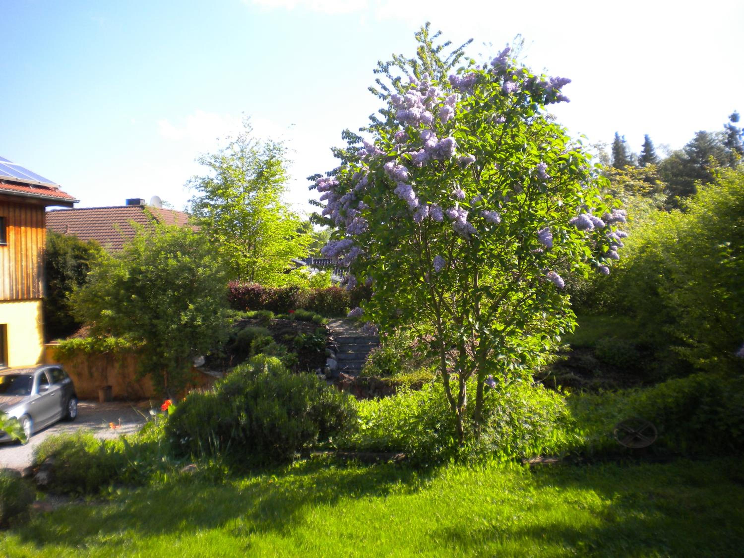 Photo 24