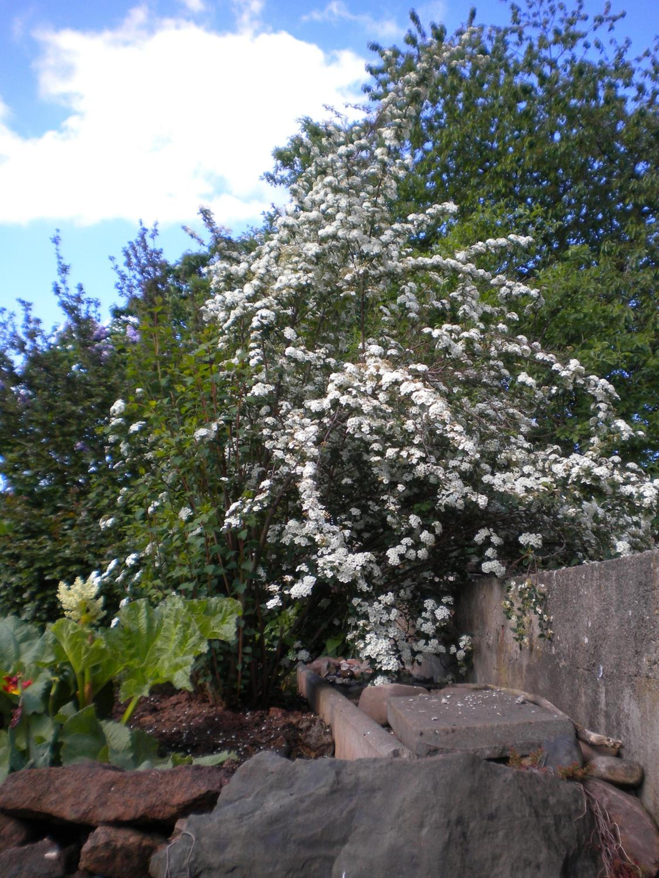 Photo 31