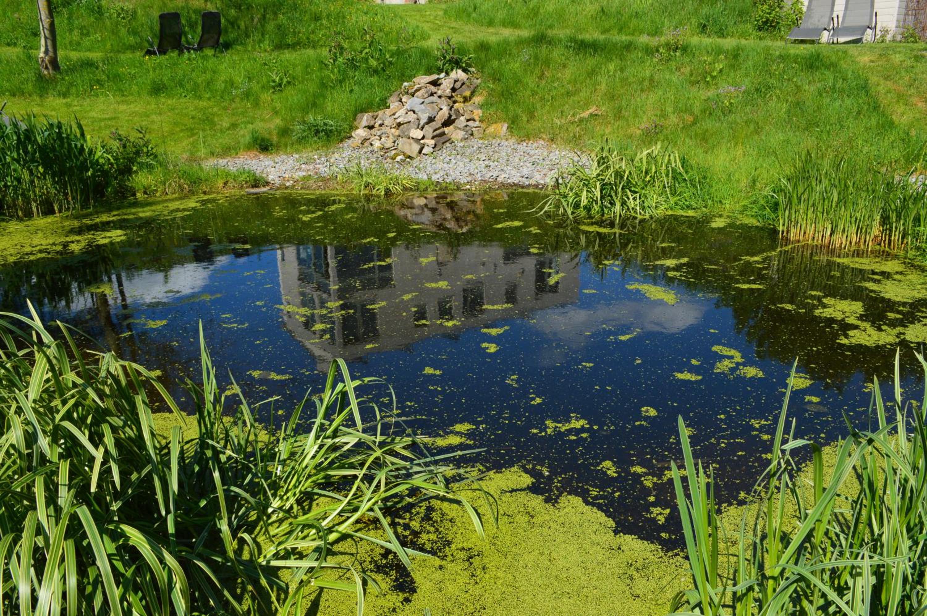 La Lisière
