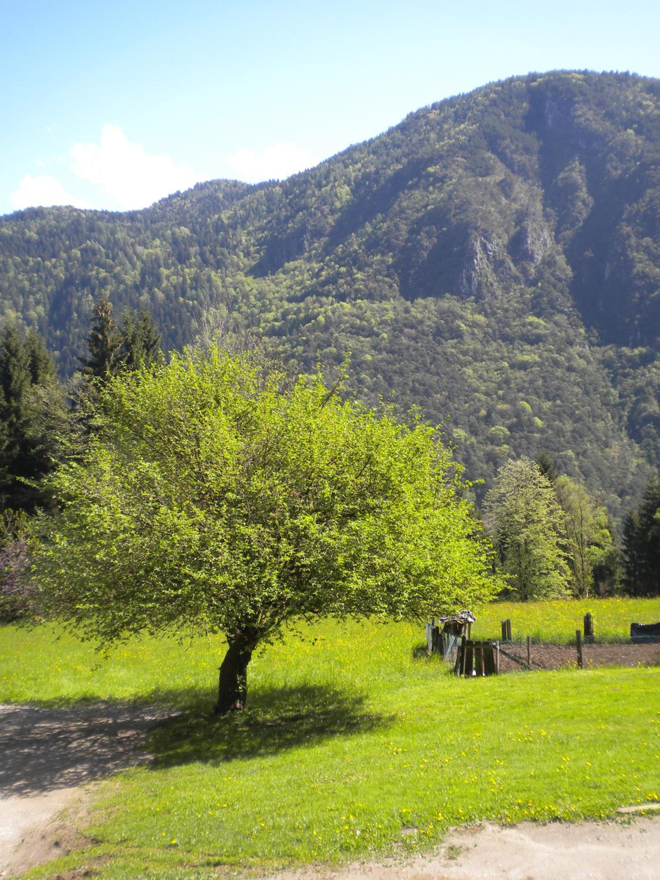 Photo 28