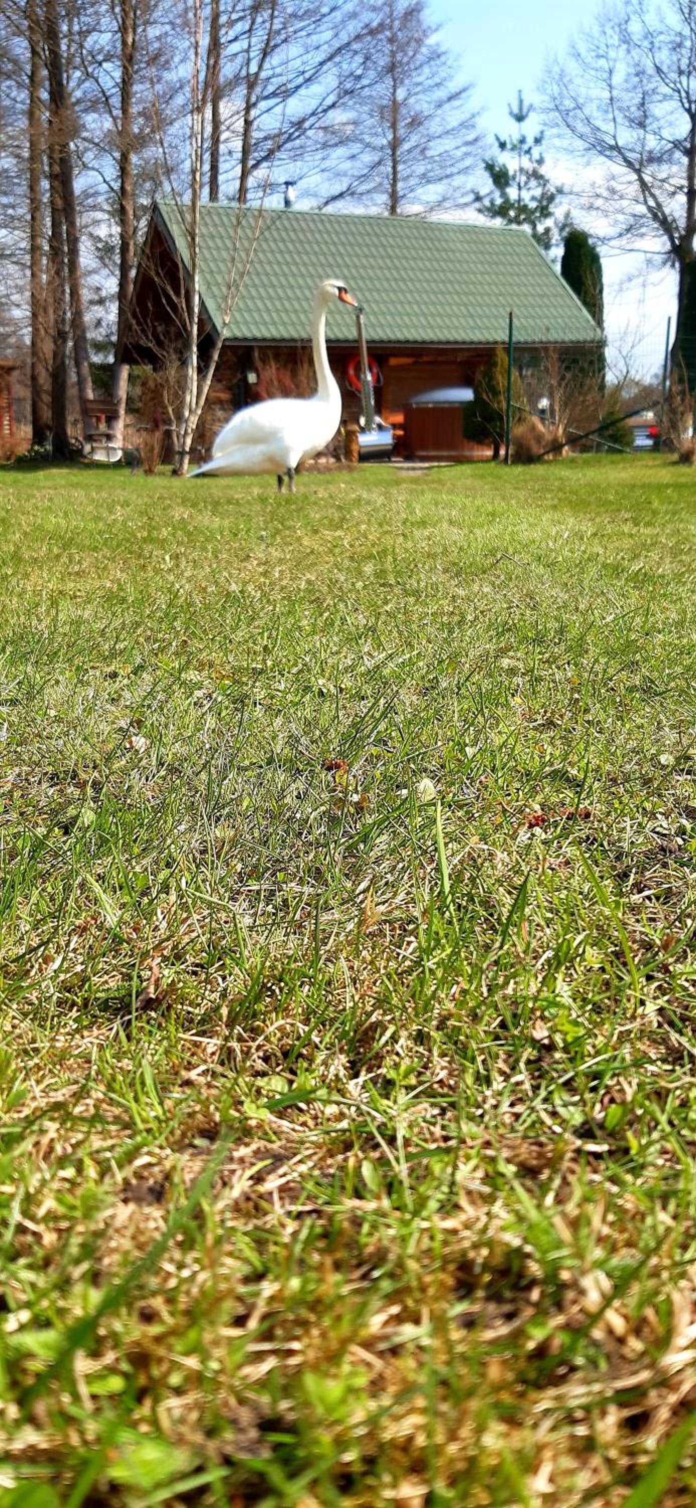 Photo 53