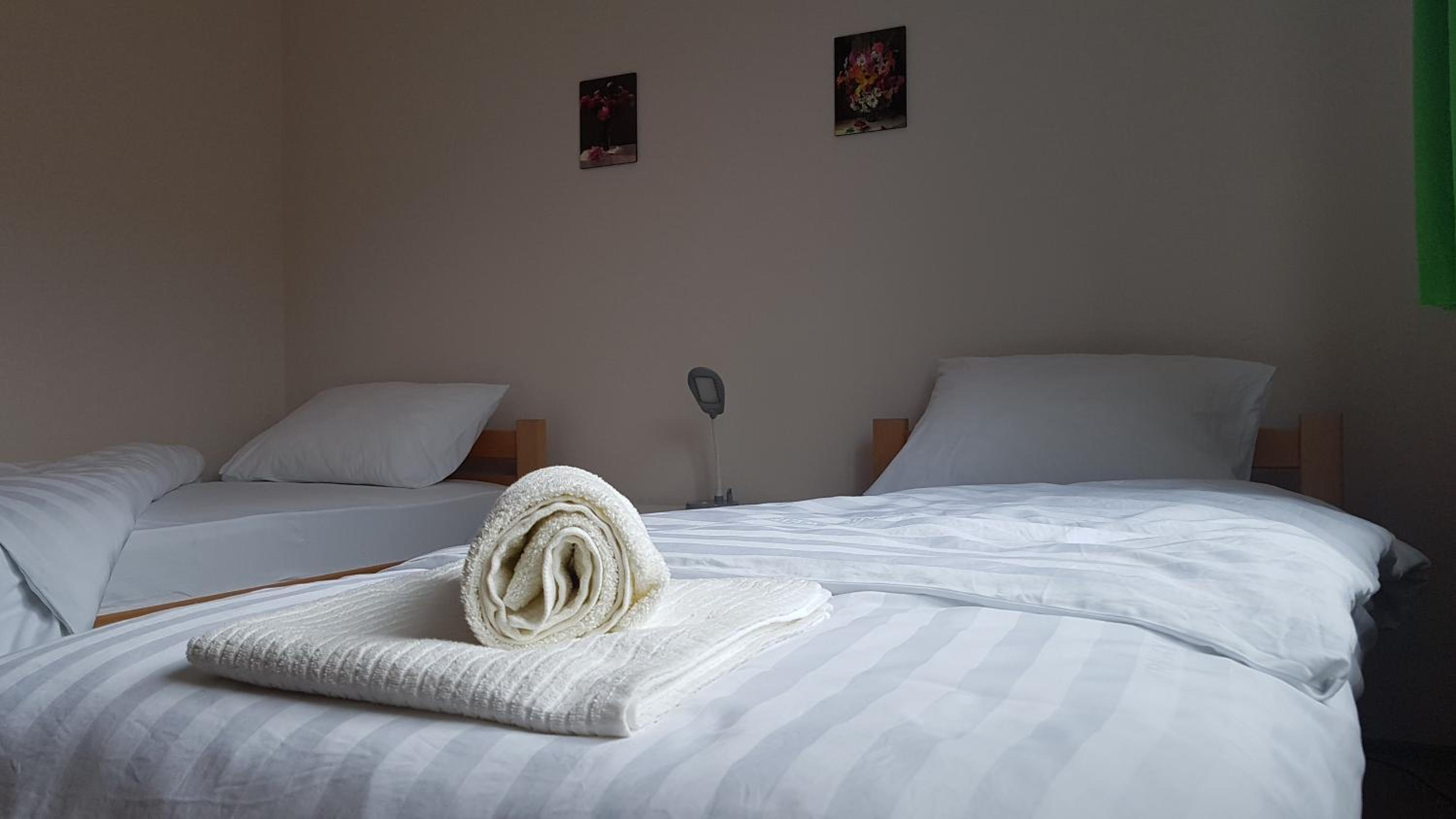 Apartman Jovanović, photo 10