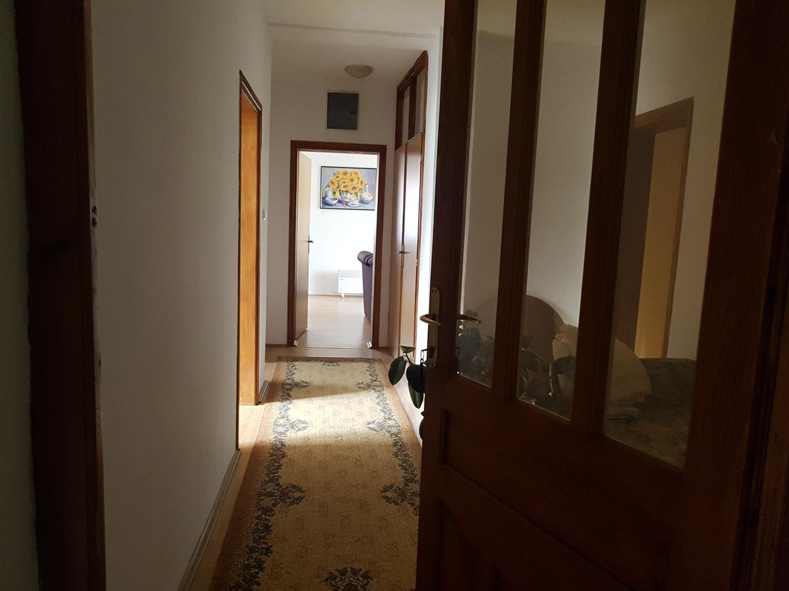 Apartman Jovanović view 2