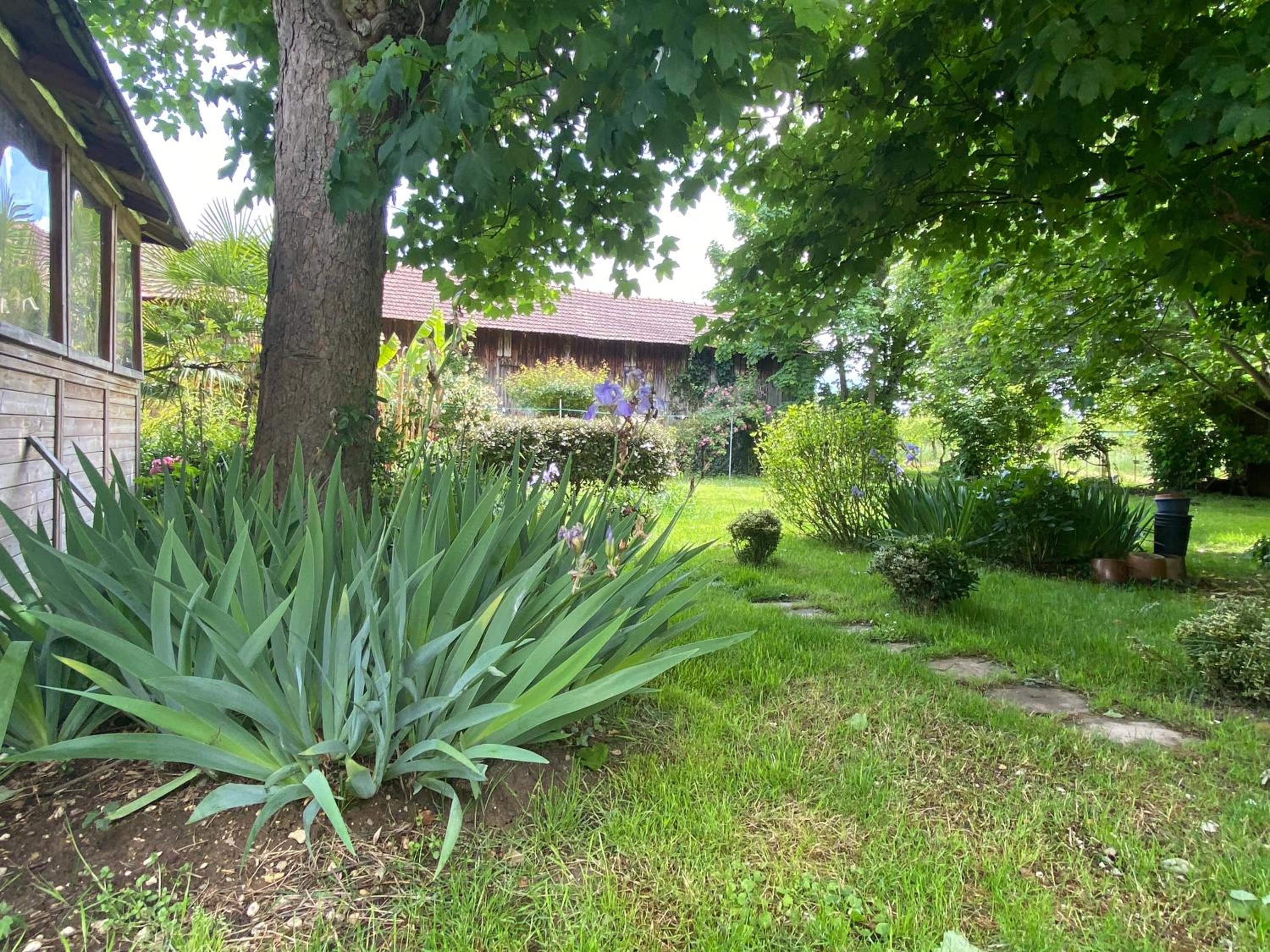 Photo 43