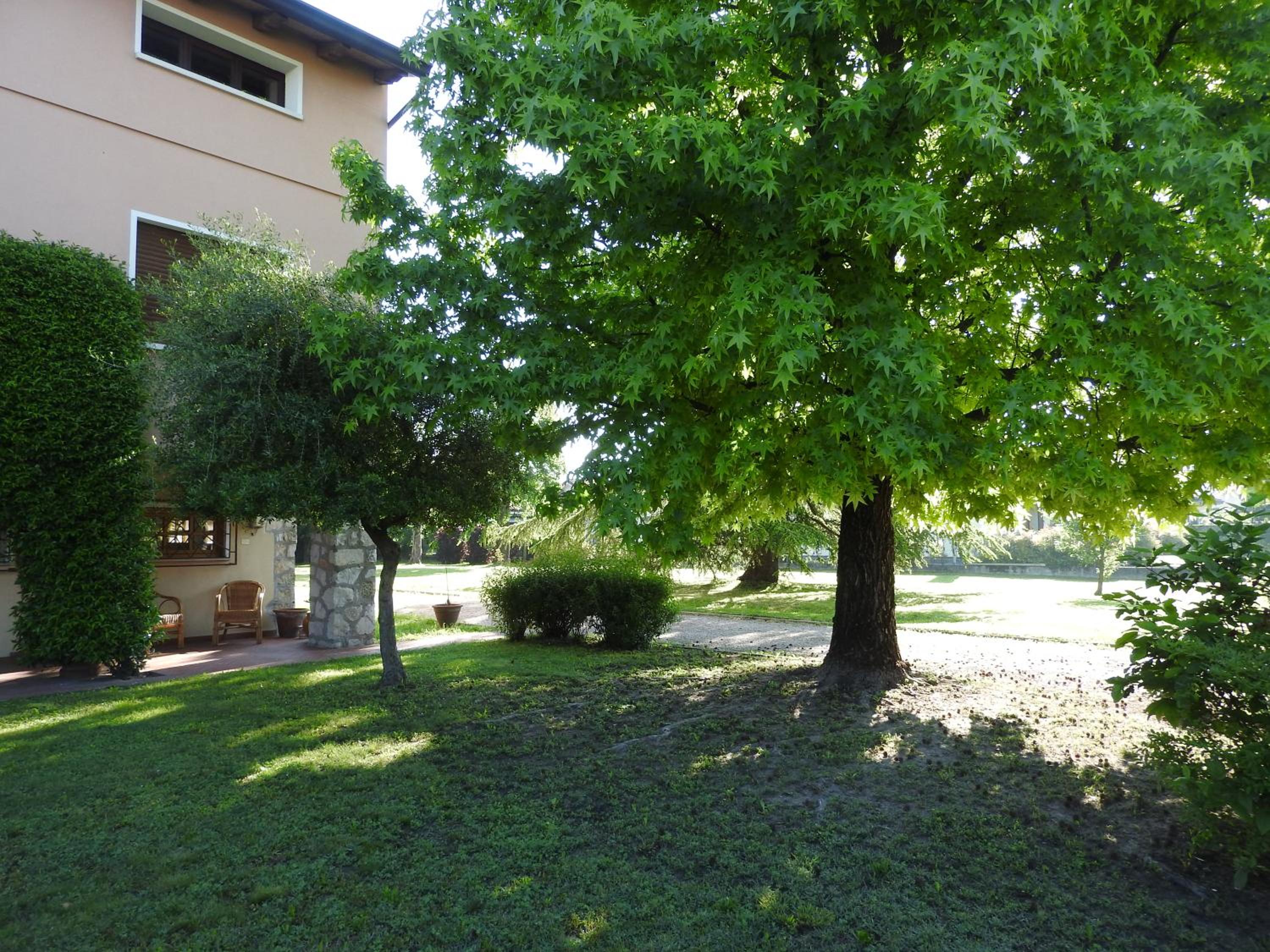 Photo 25