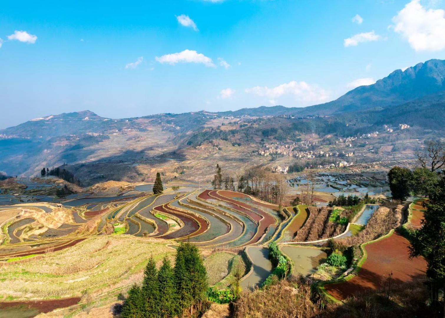 Tian Yuan Mu Ge Homestay