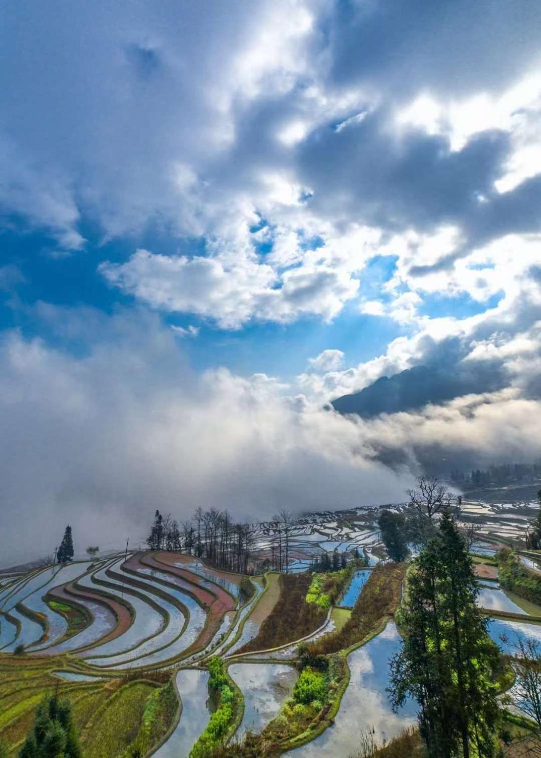 Tian Yuan Mu Ge Homestay