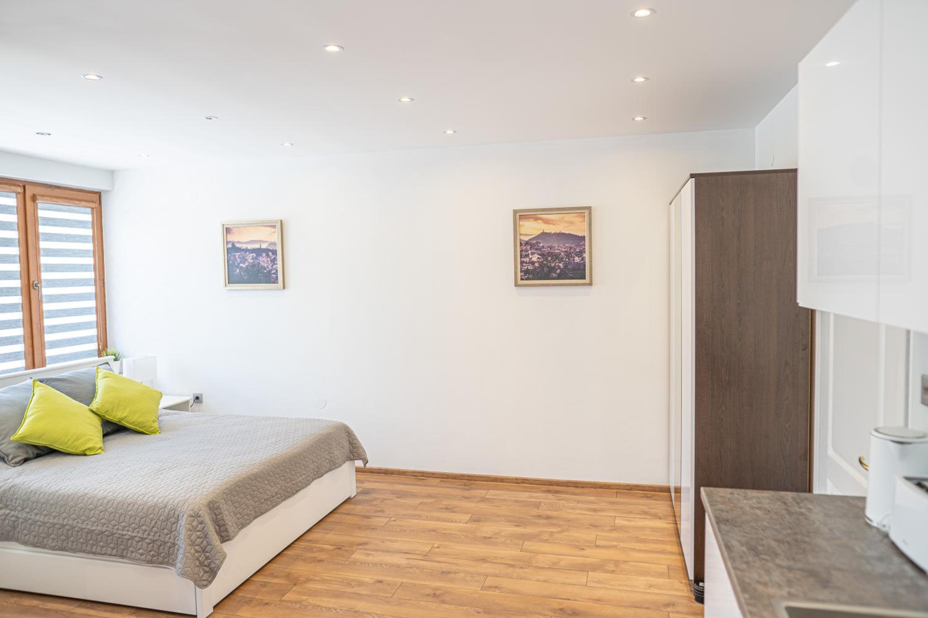 Shushi's Central Studio Apartment view 4