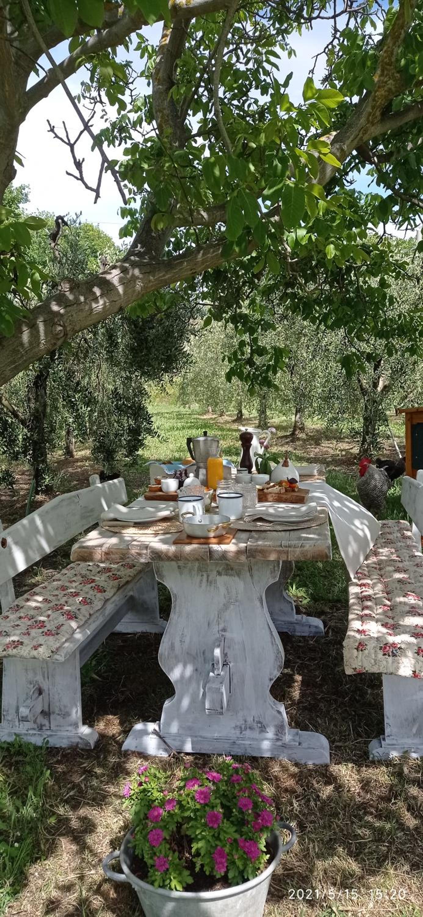 OlioeAlloro B&B view 2