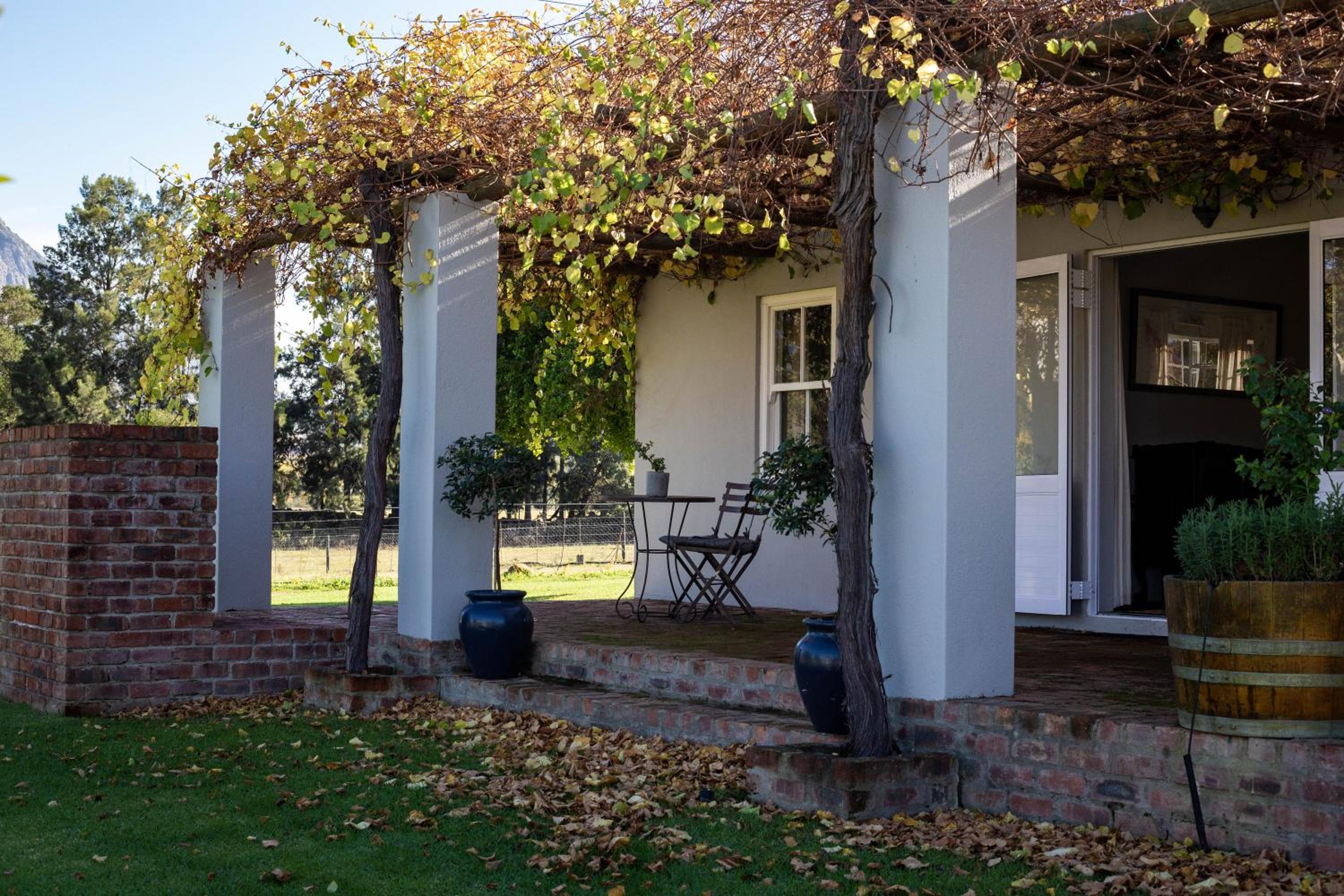 Saronsberg Vineyard Cottages