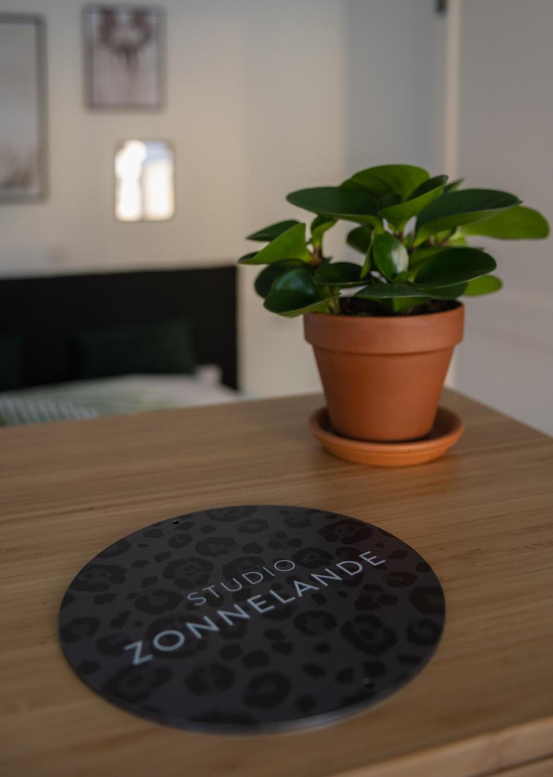 Zonnelande - comfort studio view 3