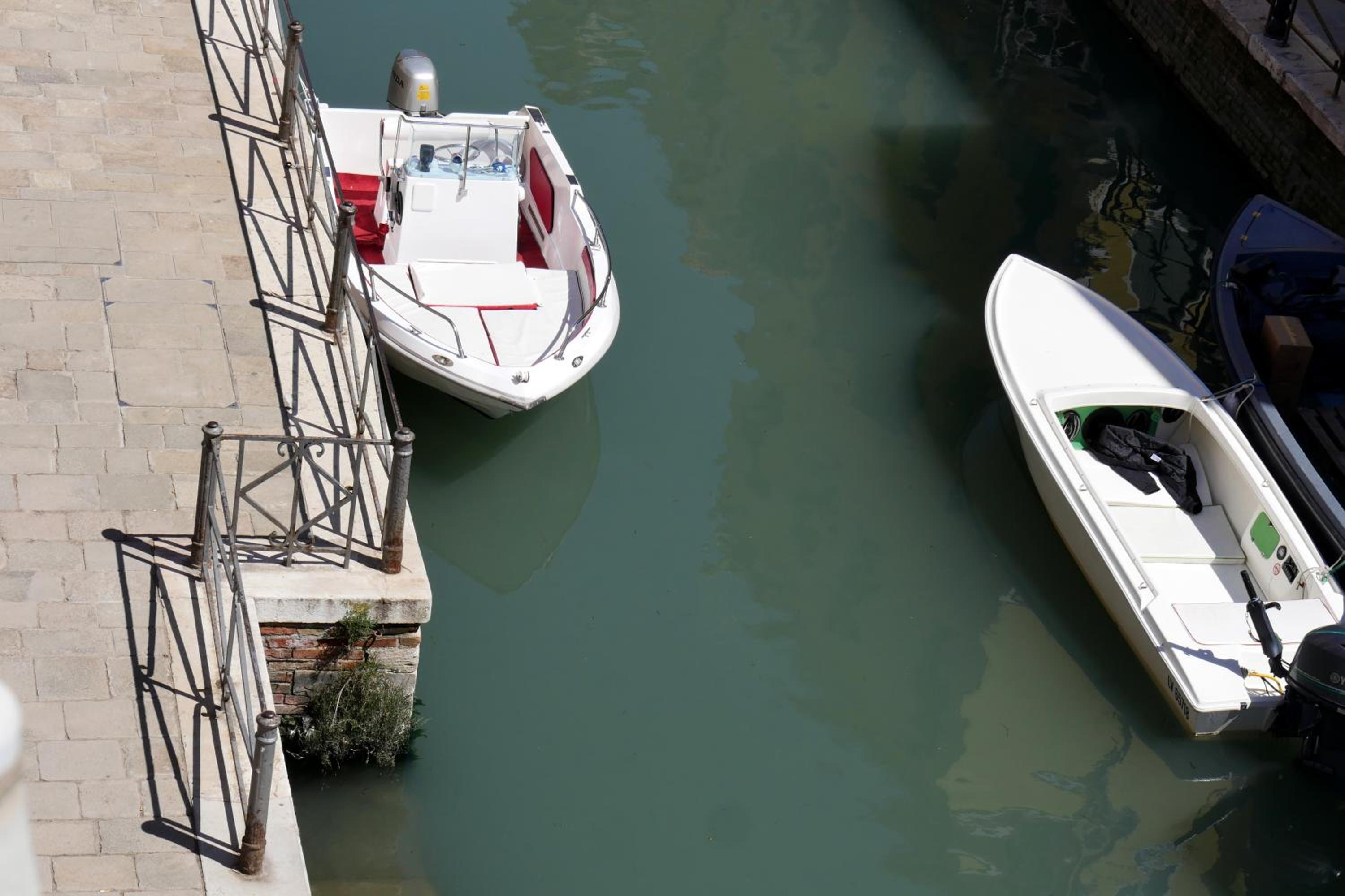Ca' Scarpa Biennale