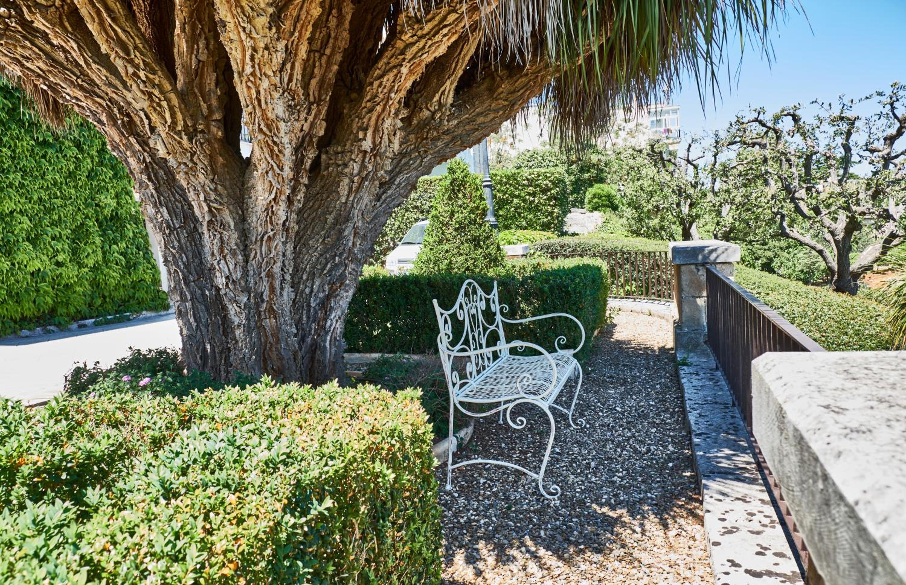 Equorum Prospectus 2 - OSTUNI CENTRO - Guest House view 5