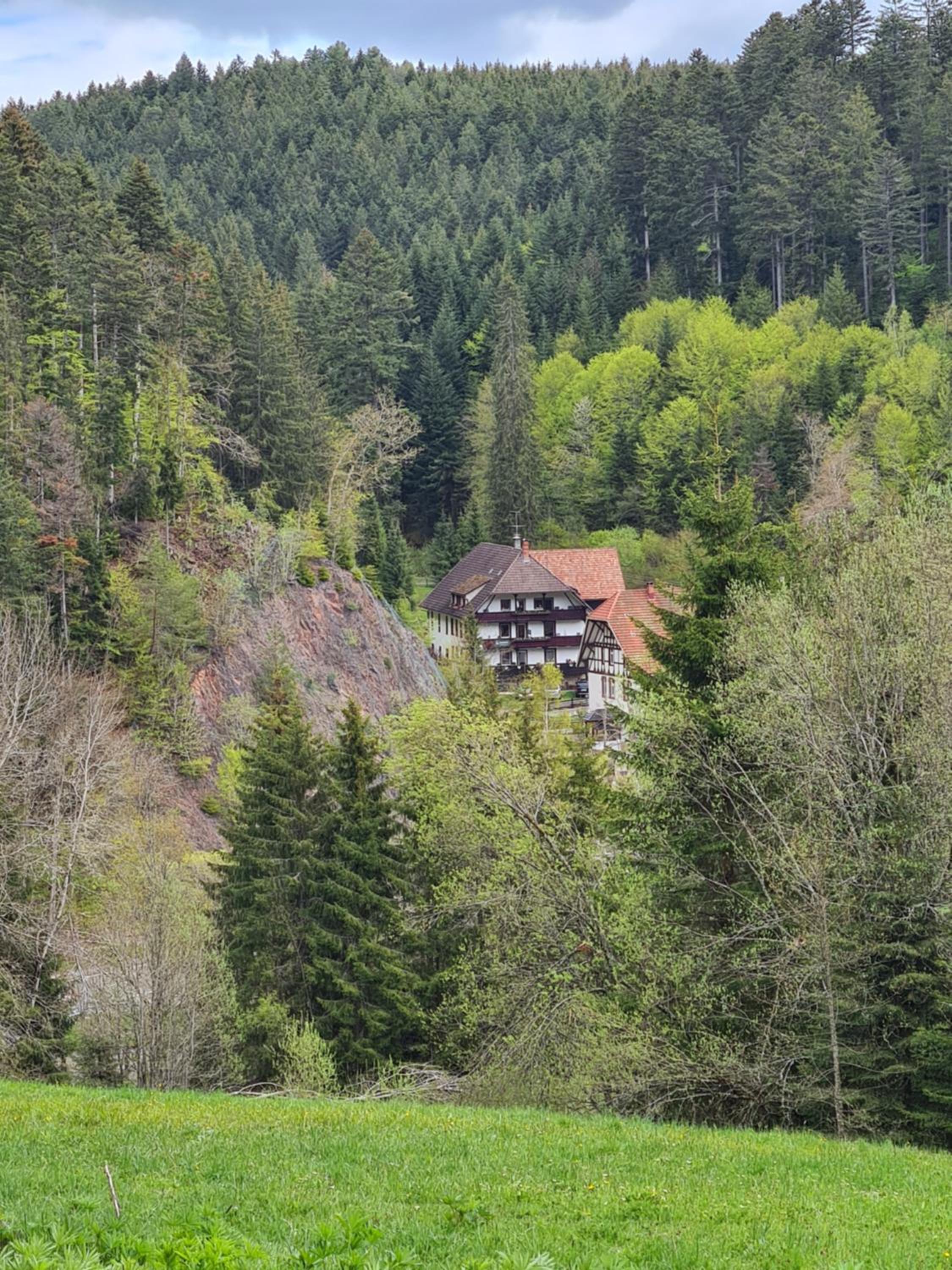 Waldblick Ferienwohnungen