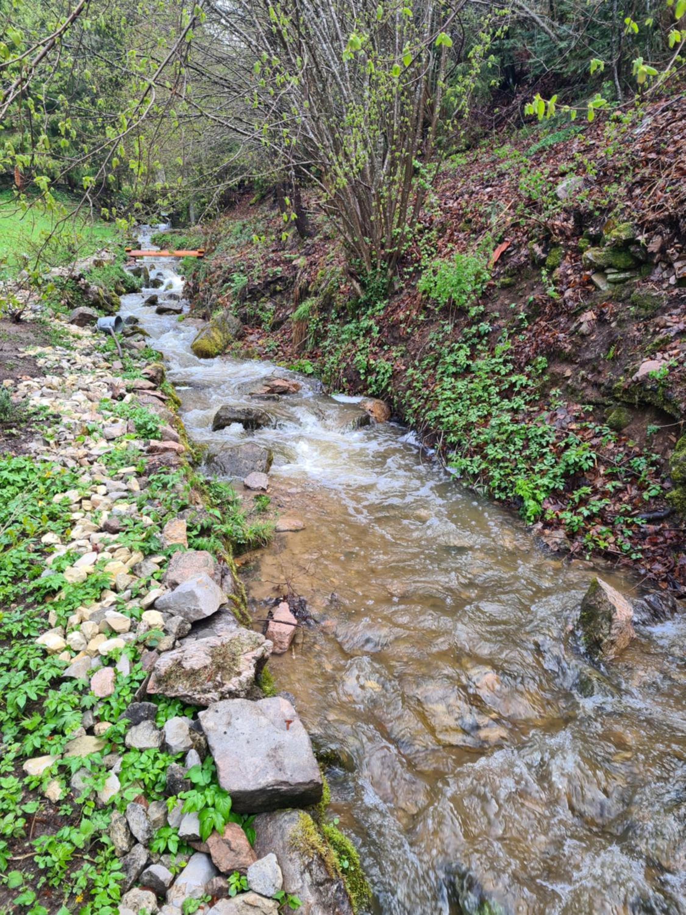 Waldblick Ferienwohnungen