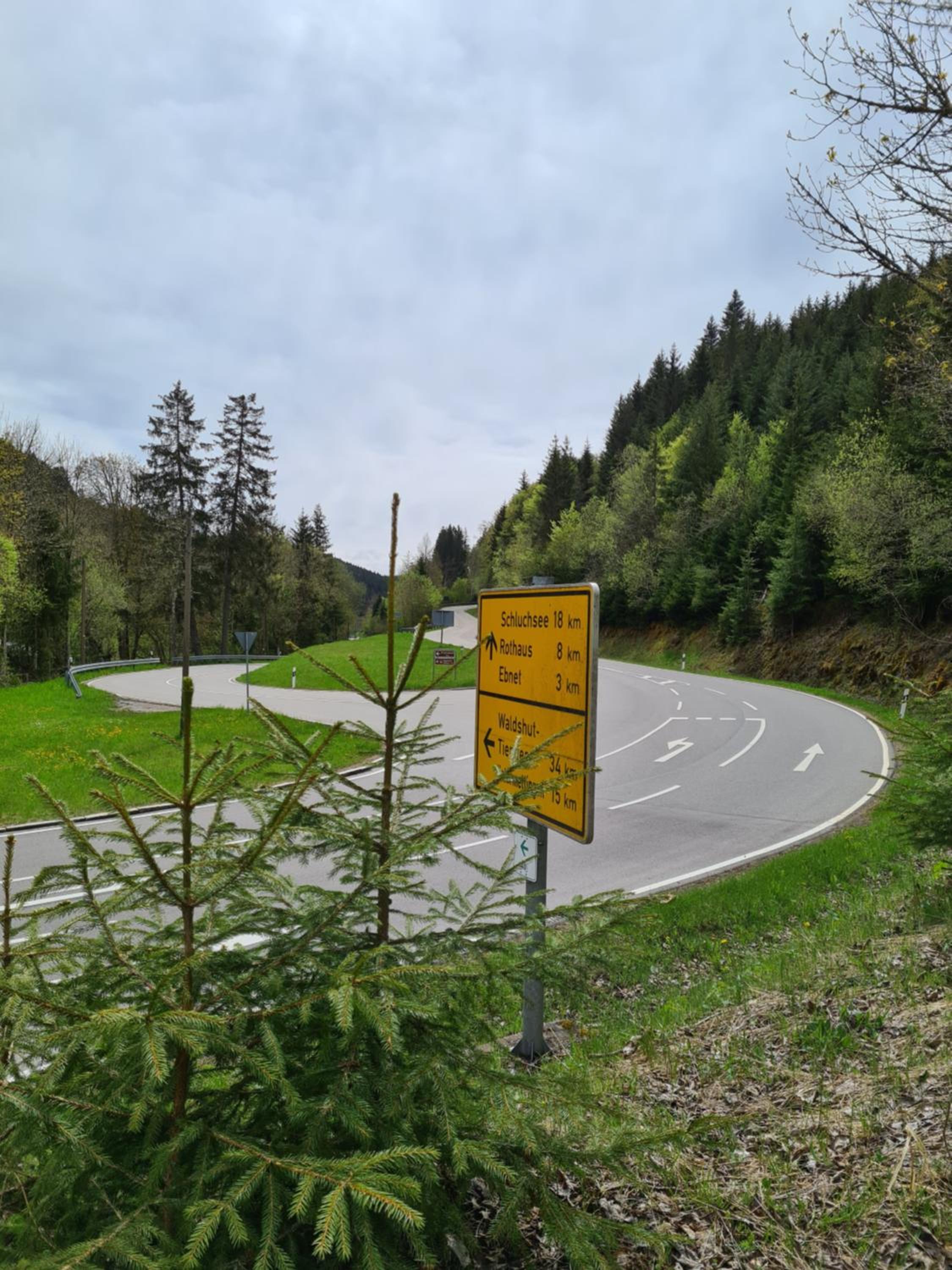 Waldblick Ferienwohnungen
