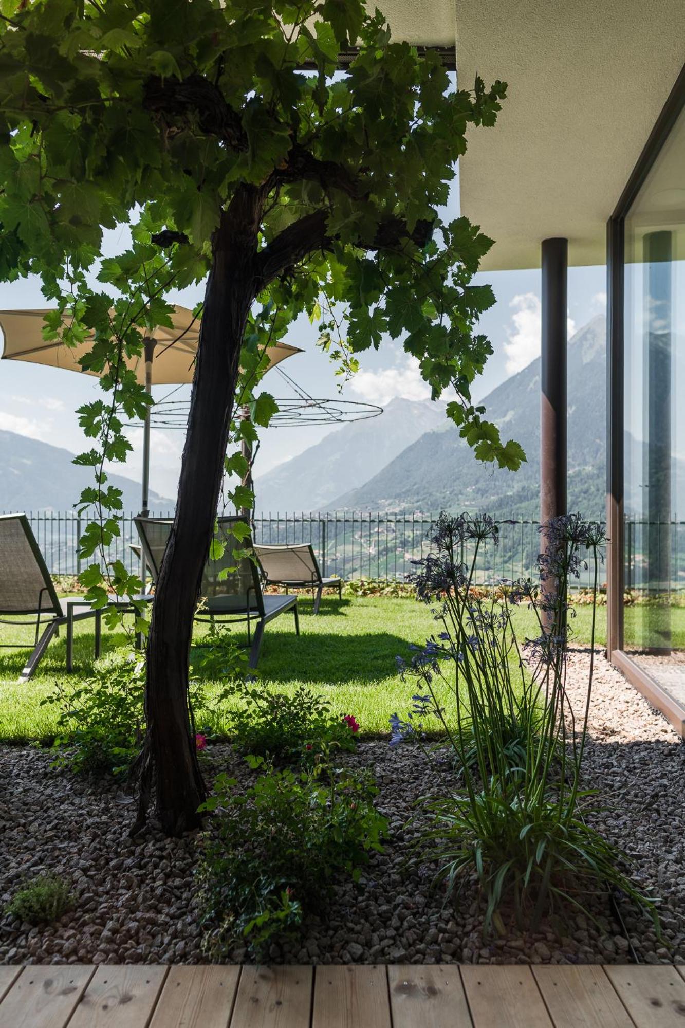 Lifestyle Hotel Alpin