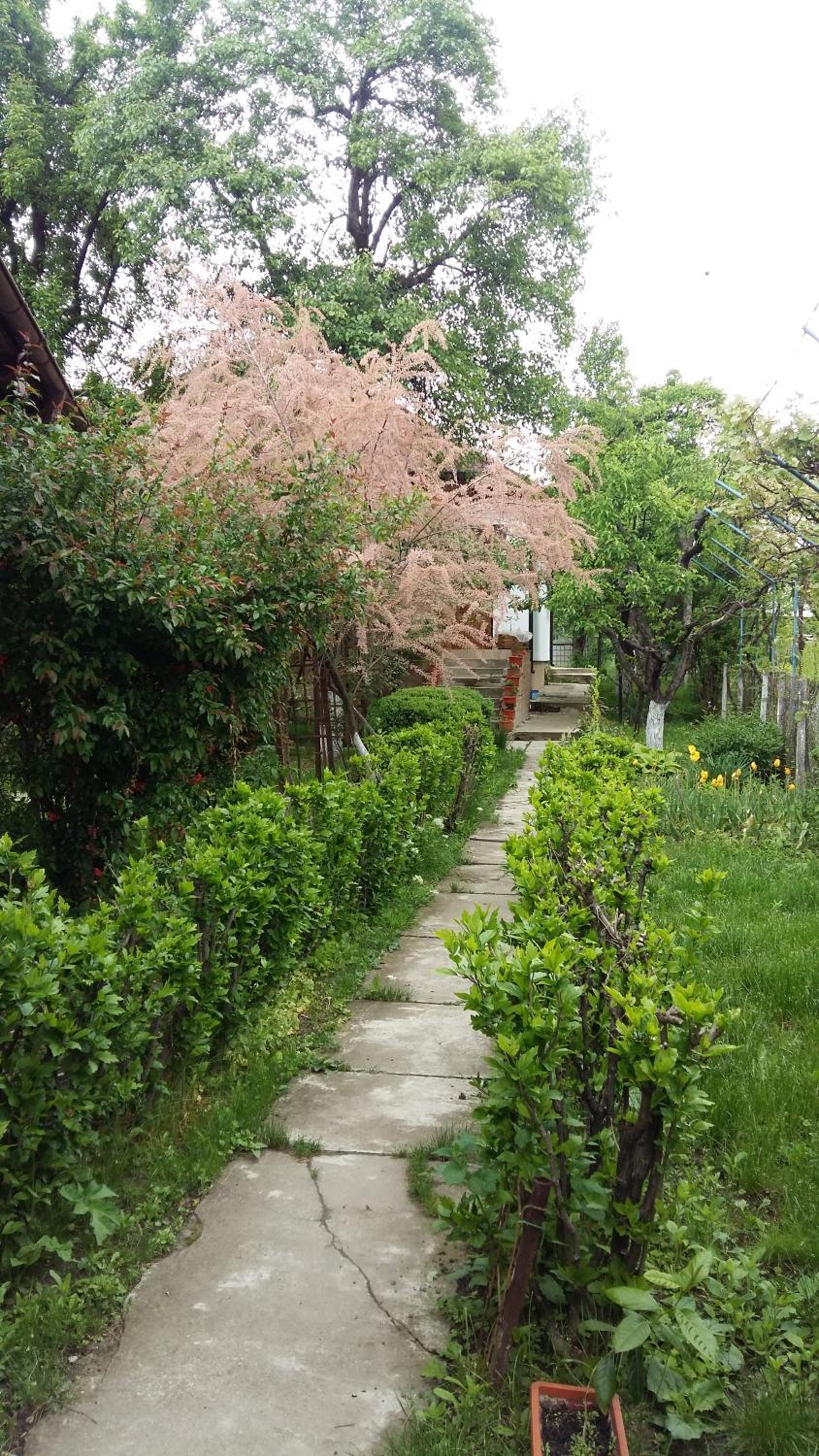 Photo 35