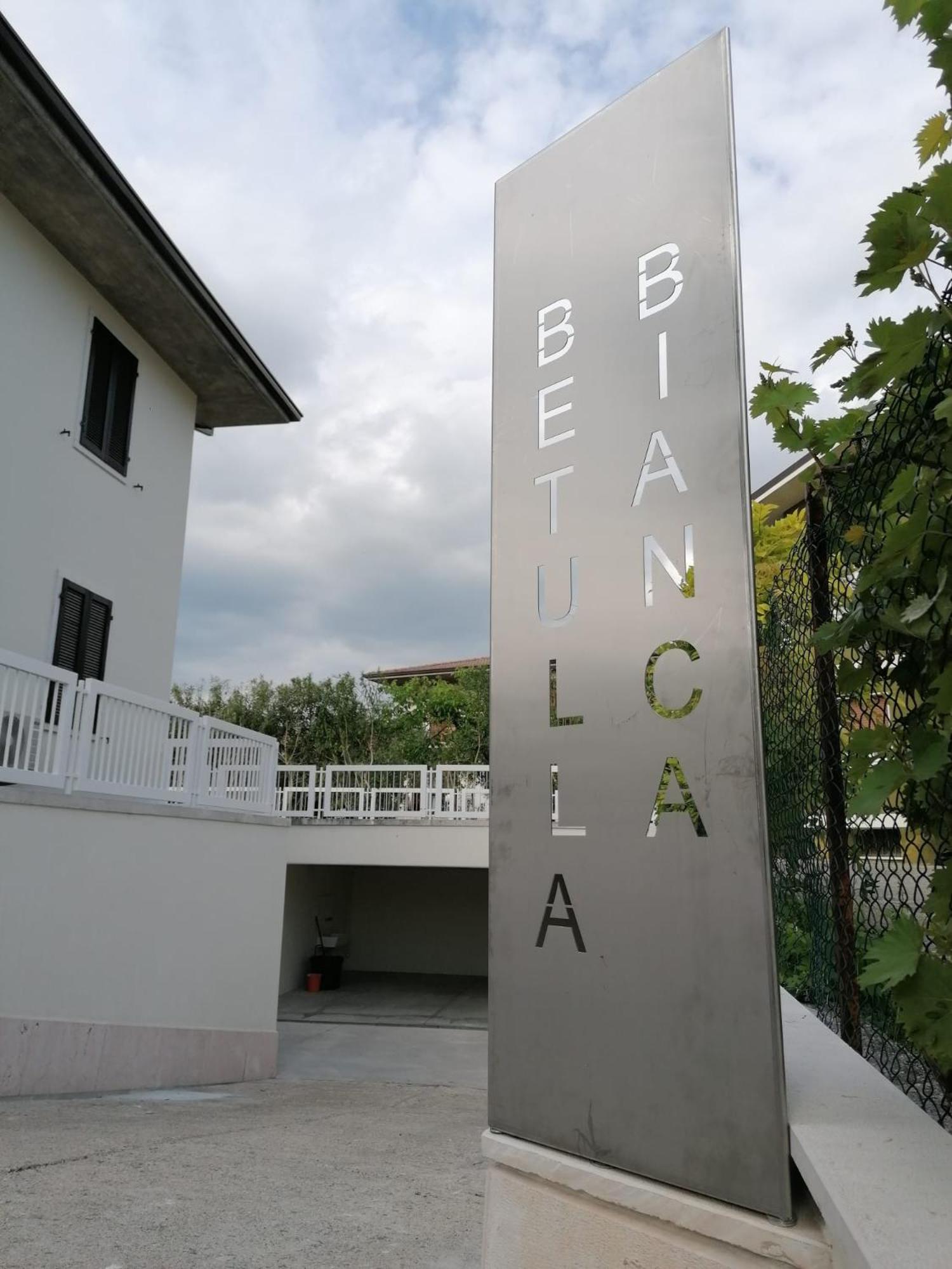 BETULLA BIANCA view 4