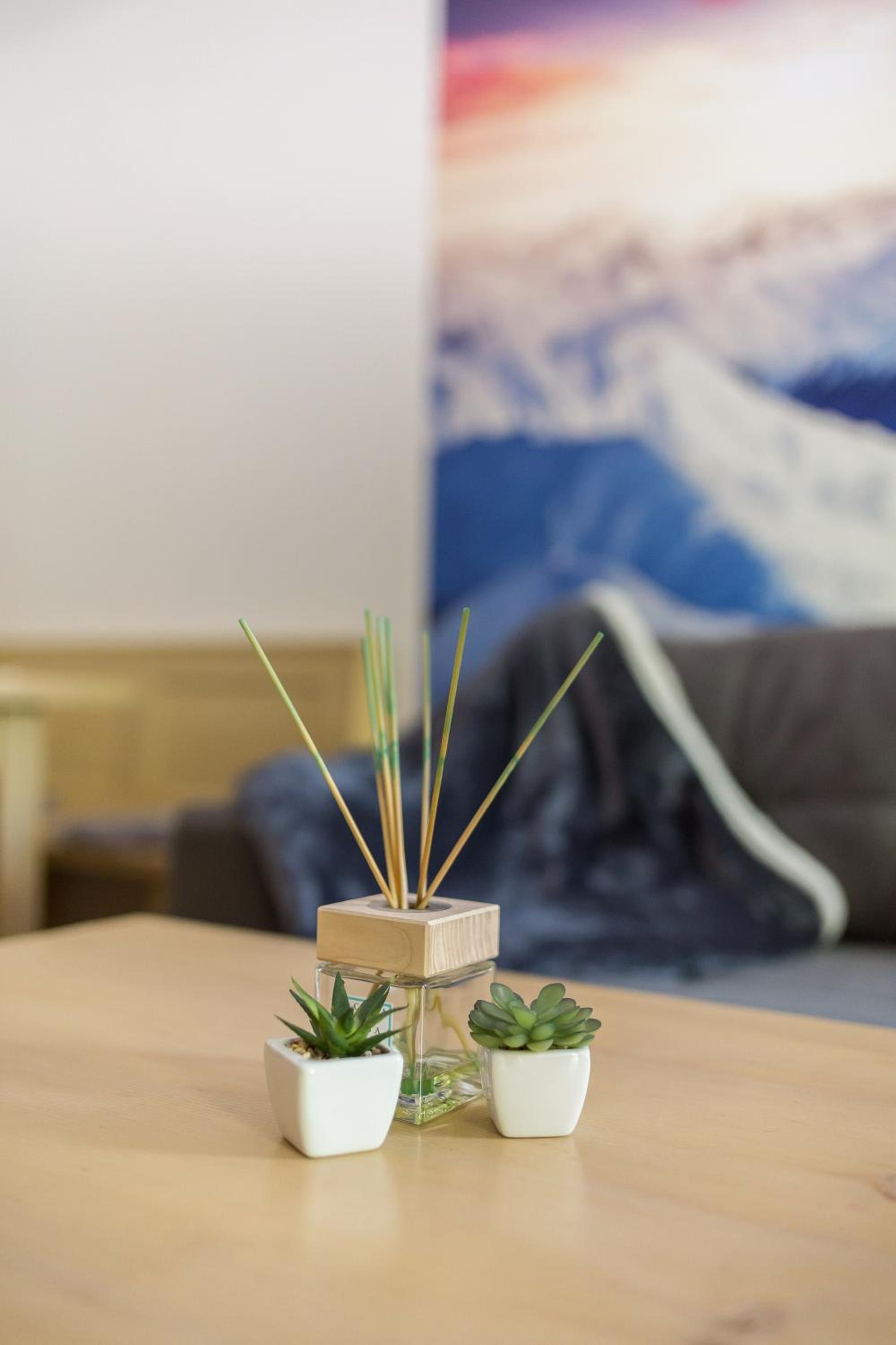 Peaceful Rogla Apartment view 5