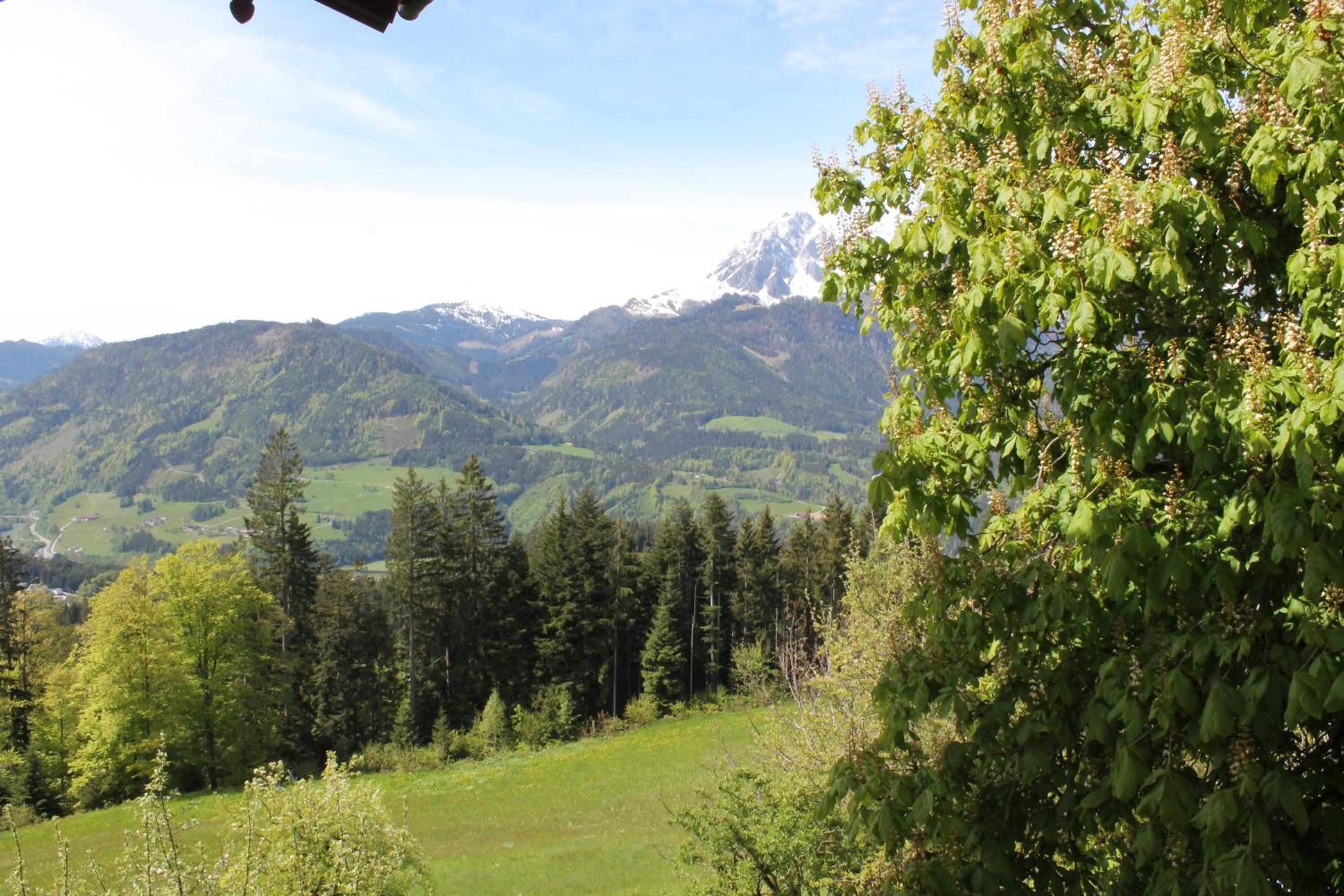 Ferienhotel Samerhof