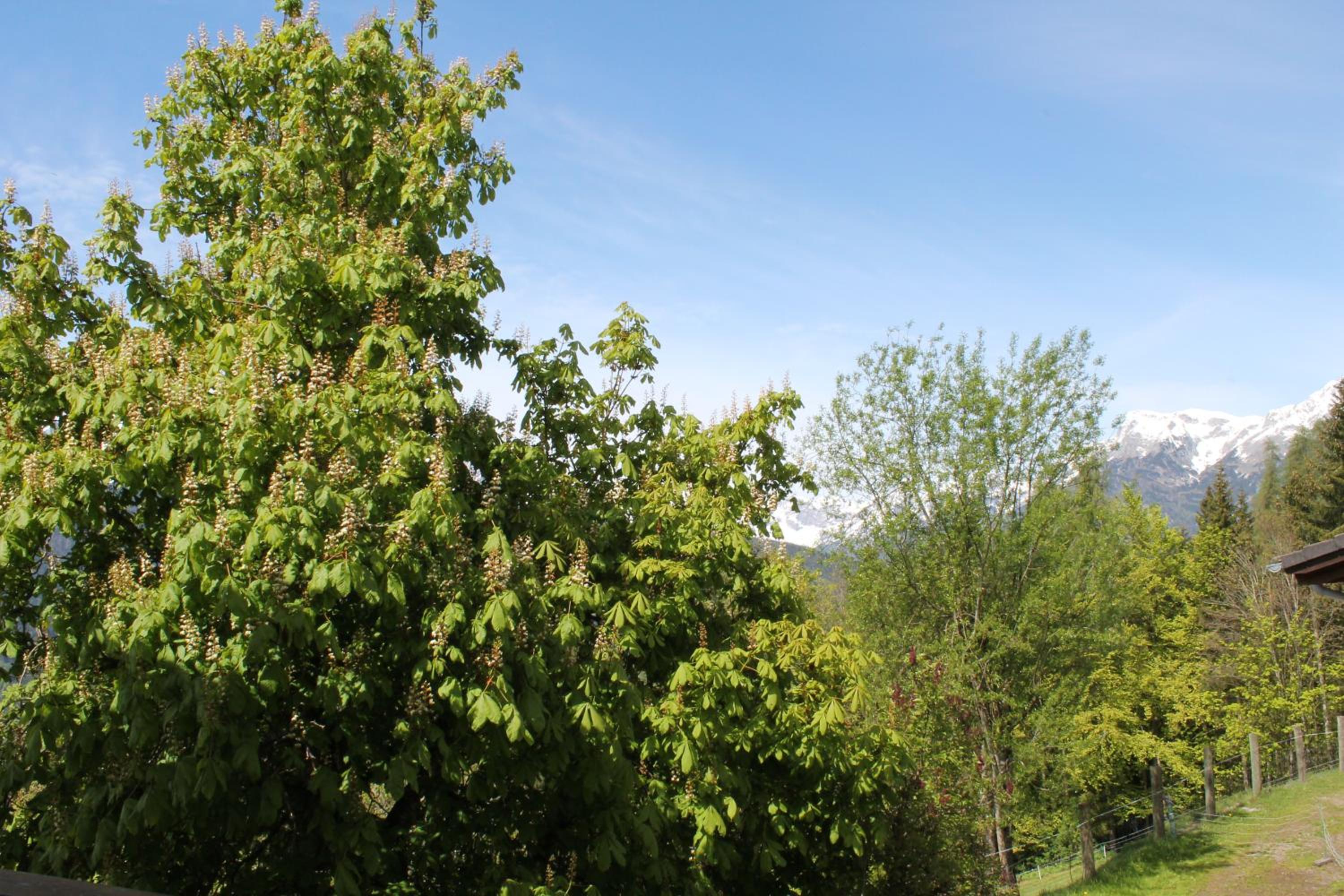 Ferienhotel Samerhof