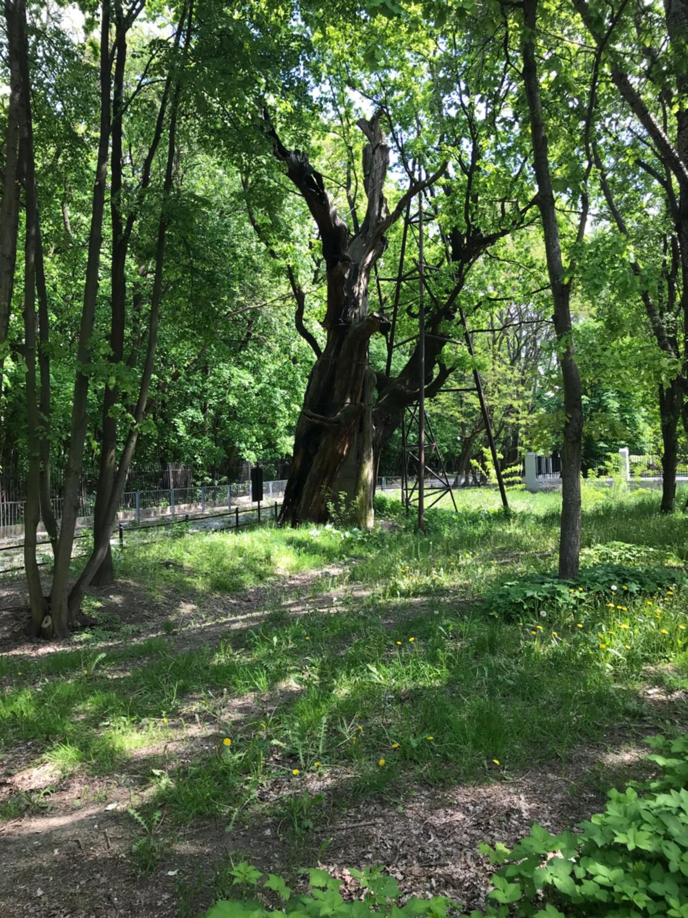 Photo 18