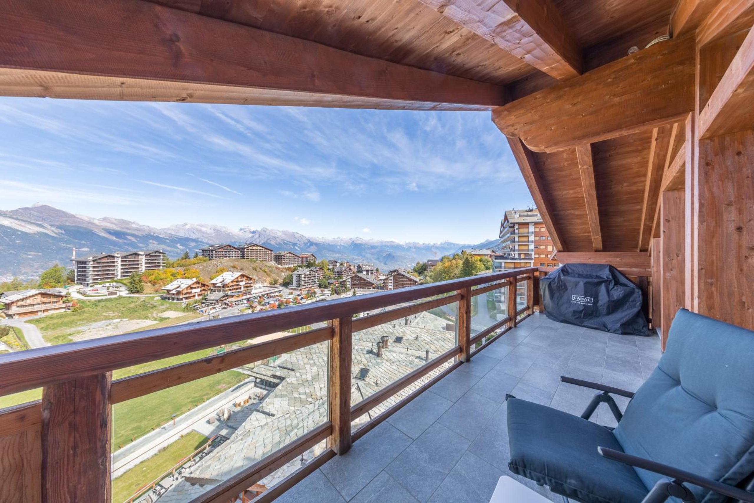 Montagnard 12 - spa access - car and careless holidays! view 2