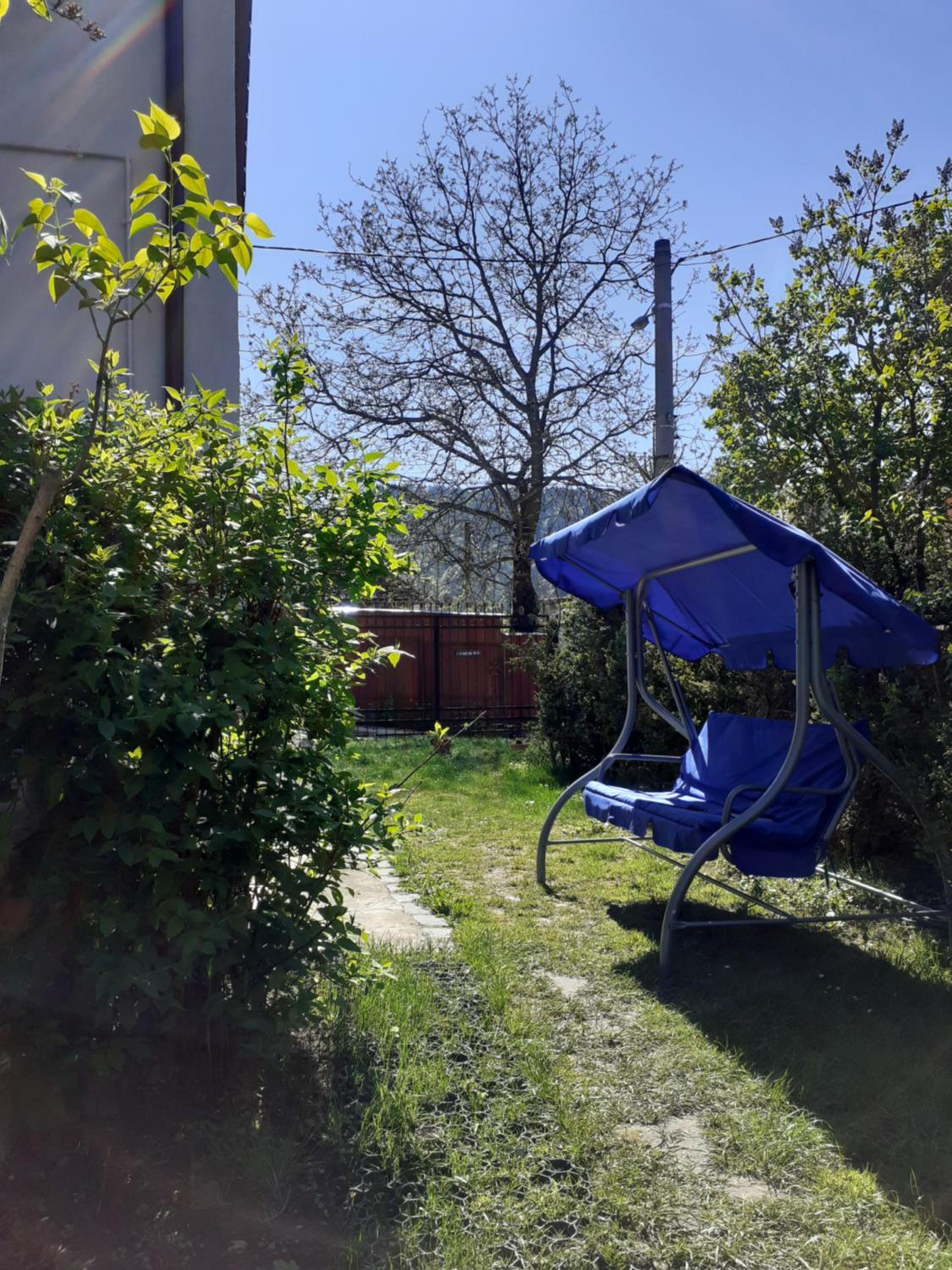 Photo 38