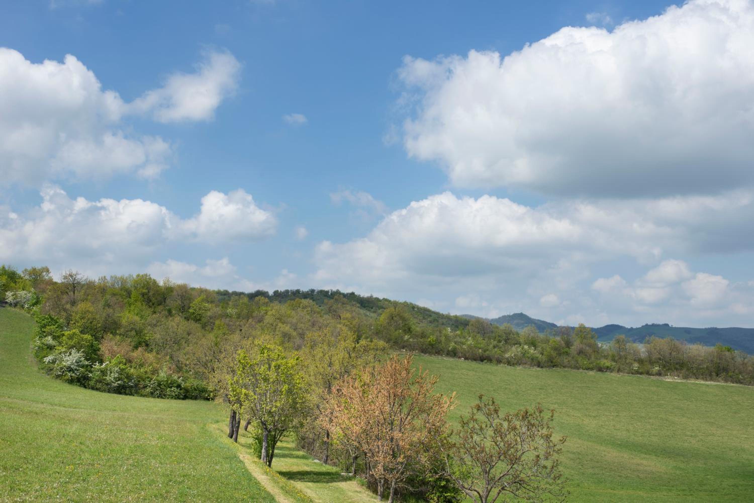 Agriturismo Prato degli Angeli