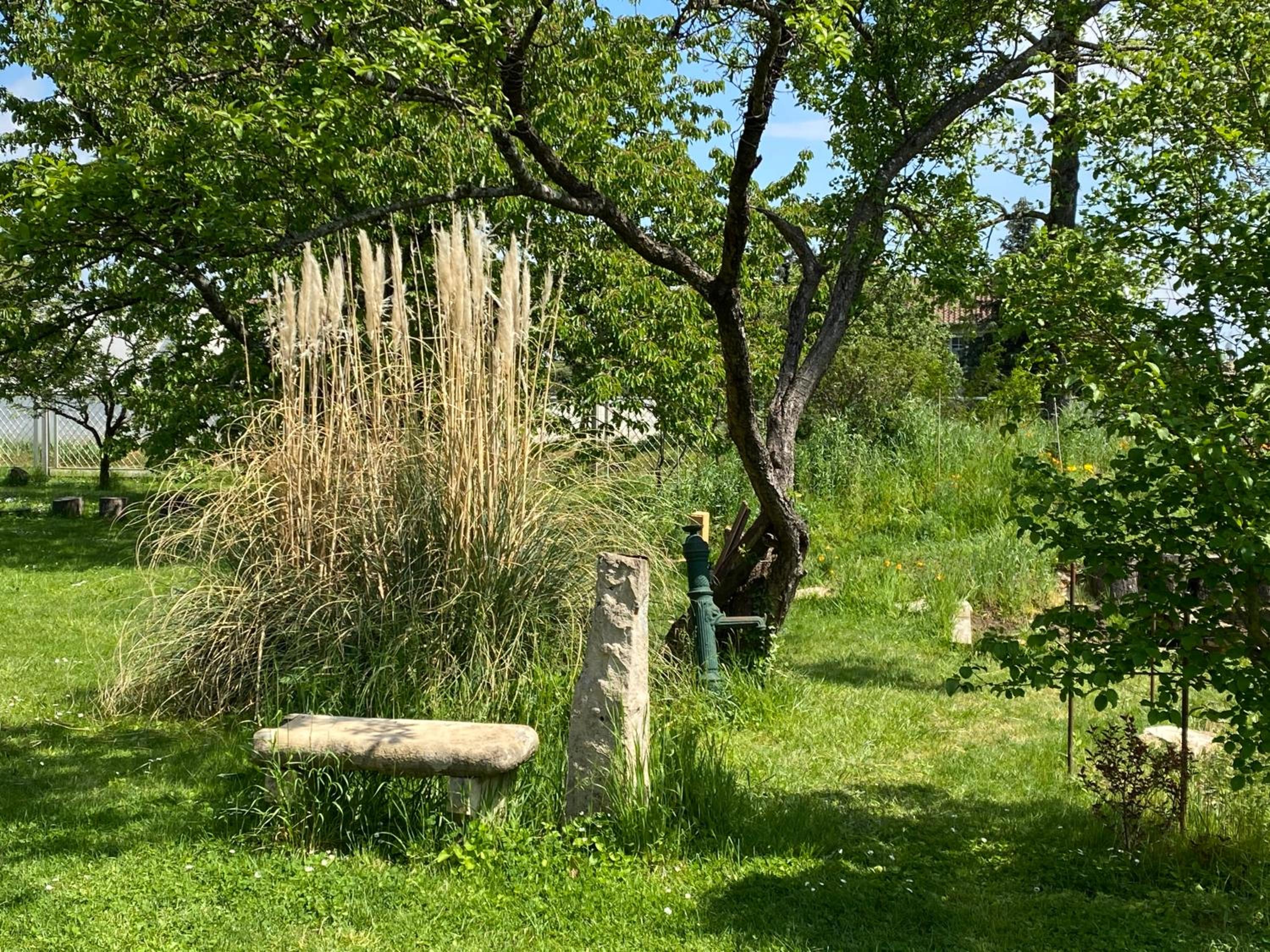 Photo 47