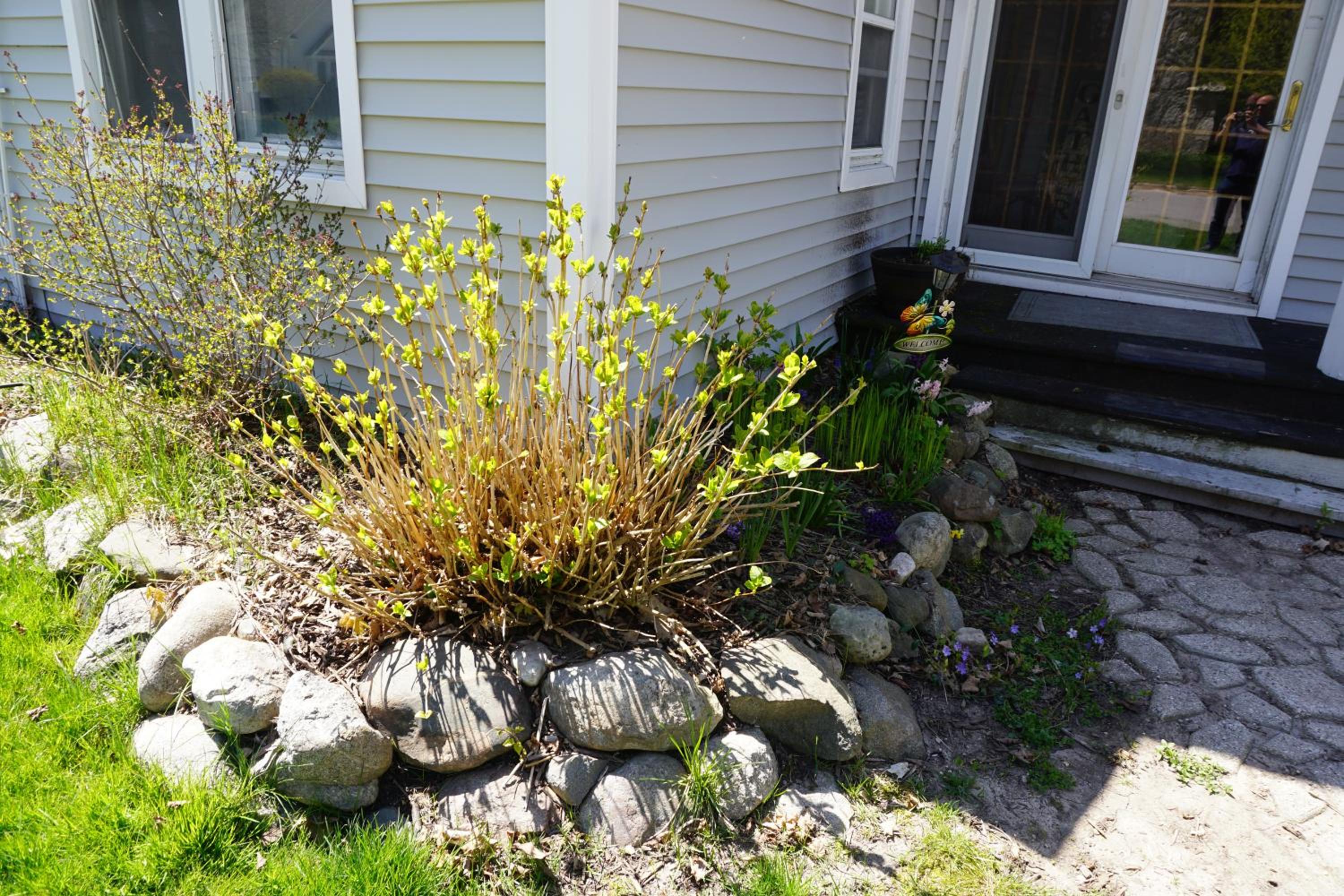 Photo 25