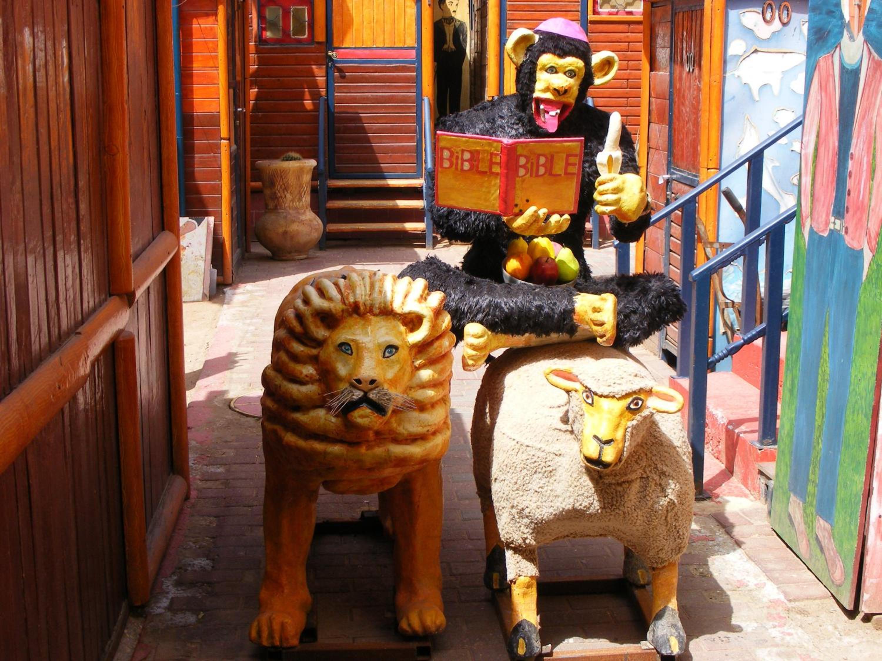 Photo 41