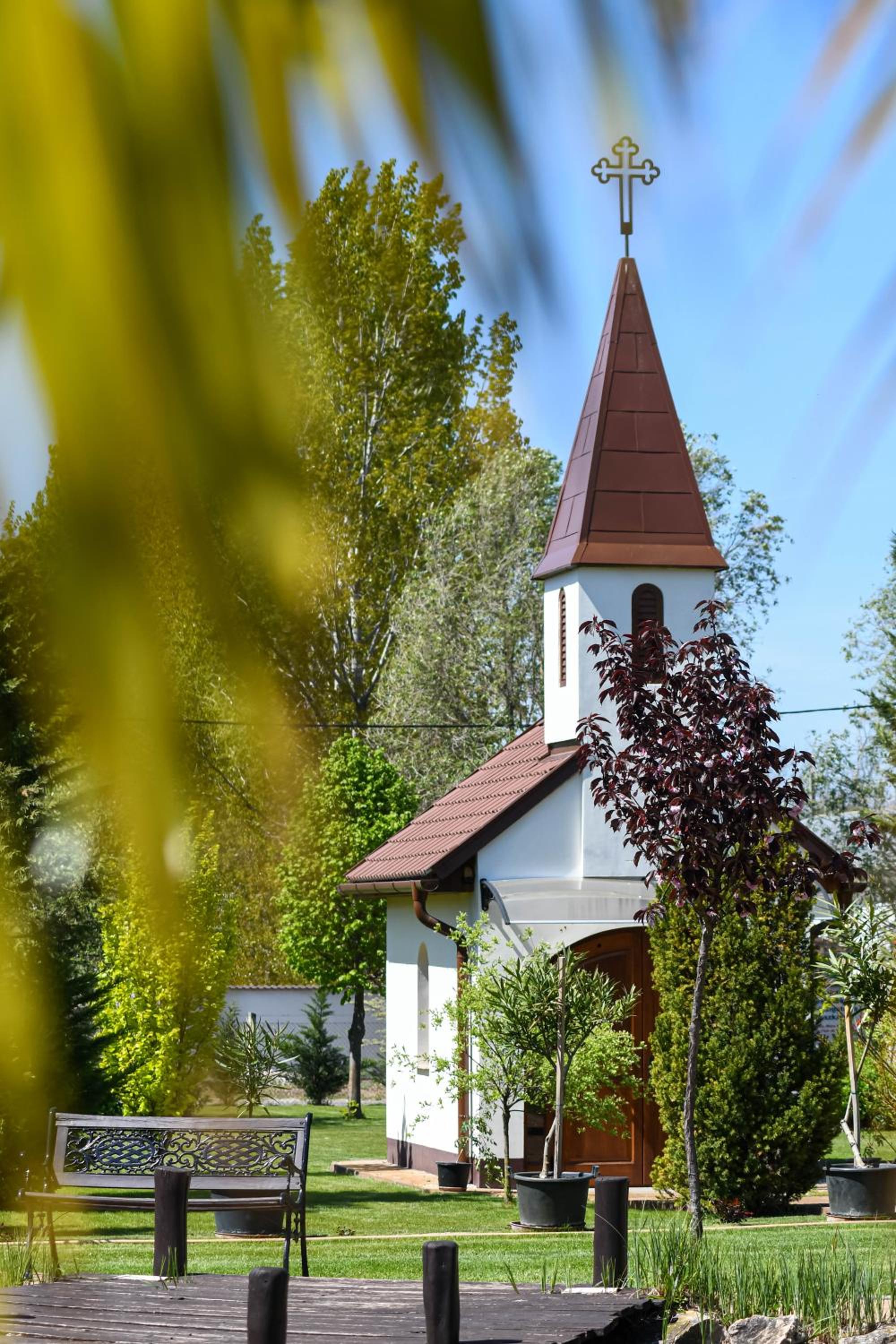 Photo 8