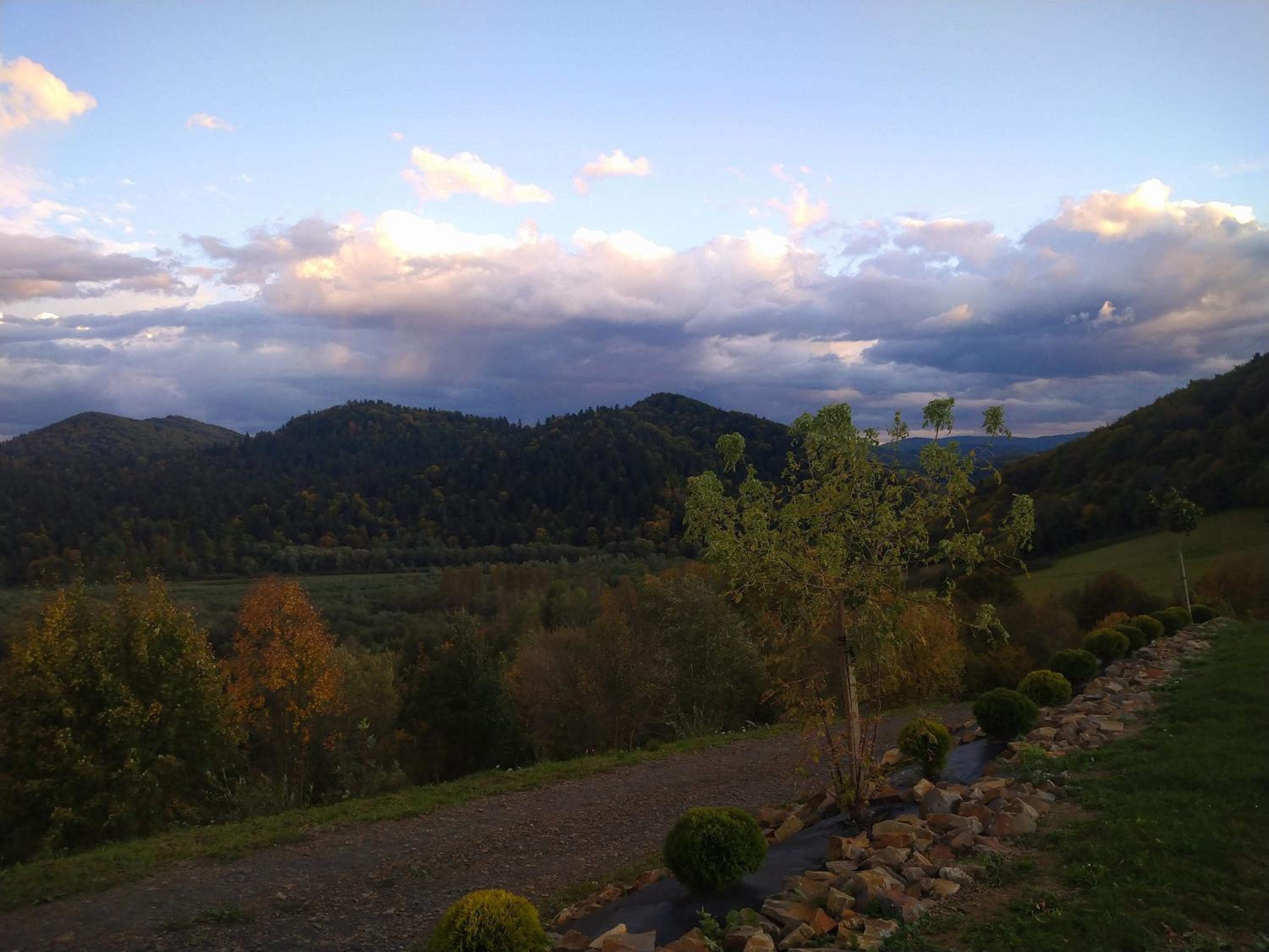 Photo 29