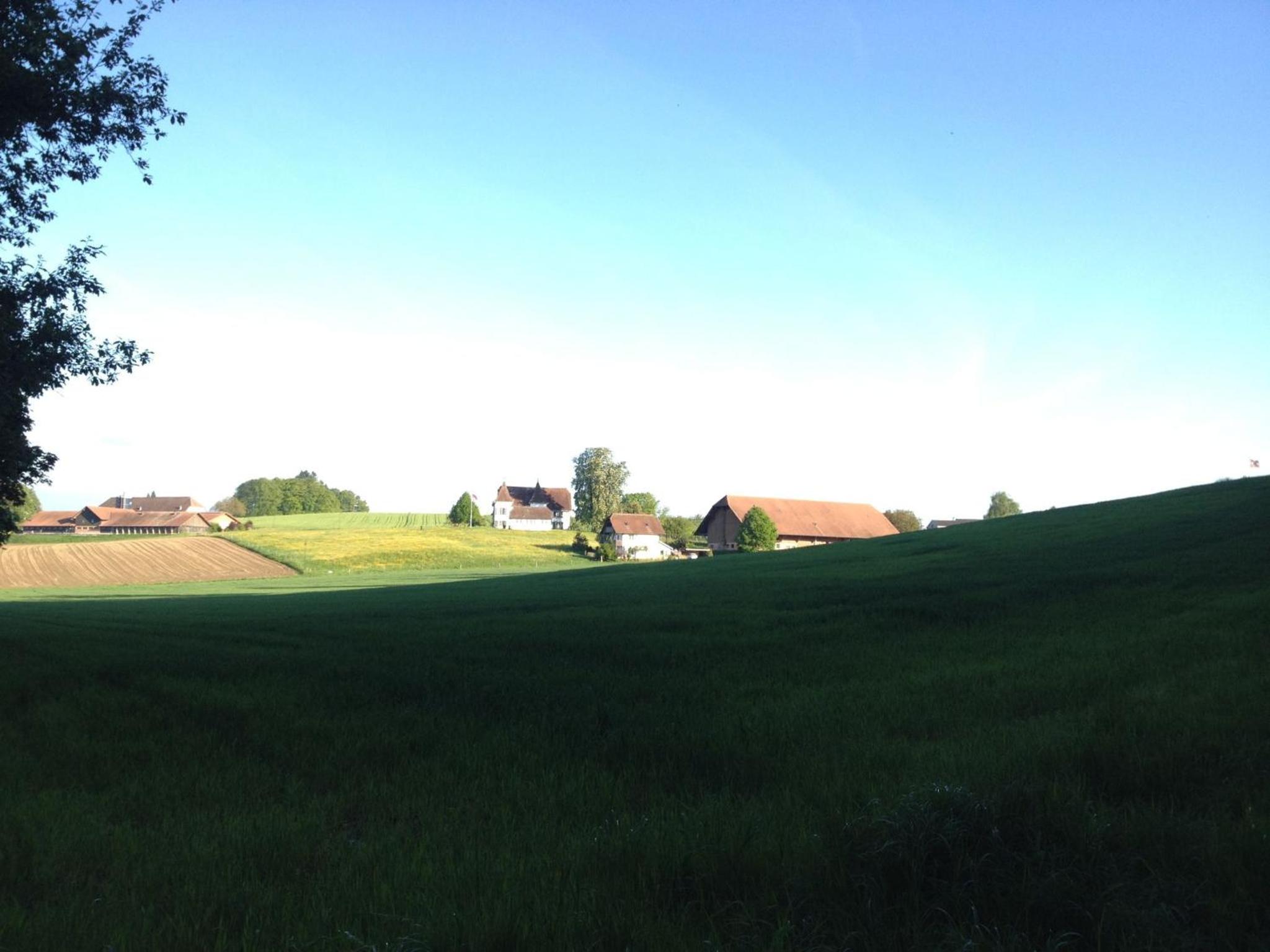 au jardin