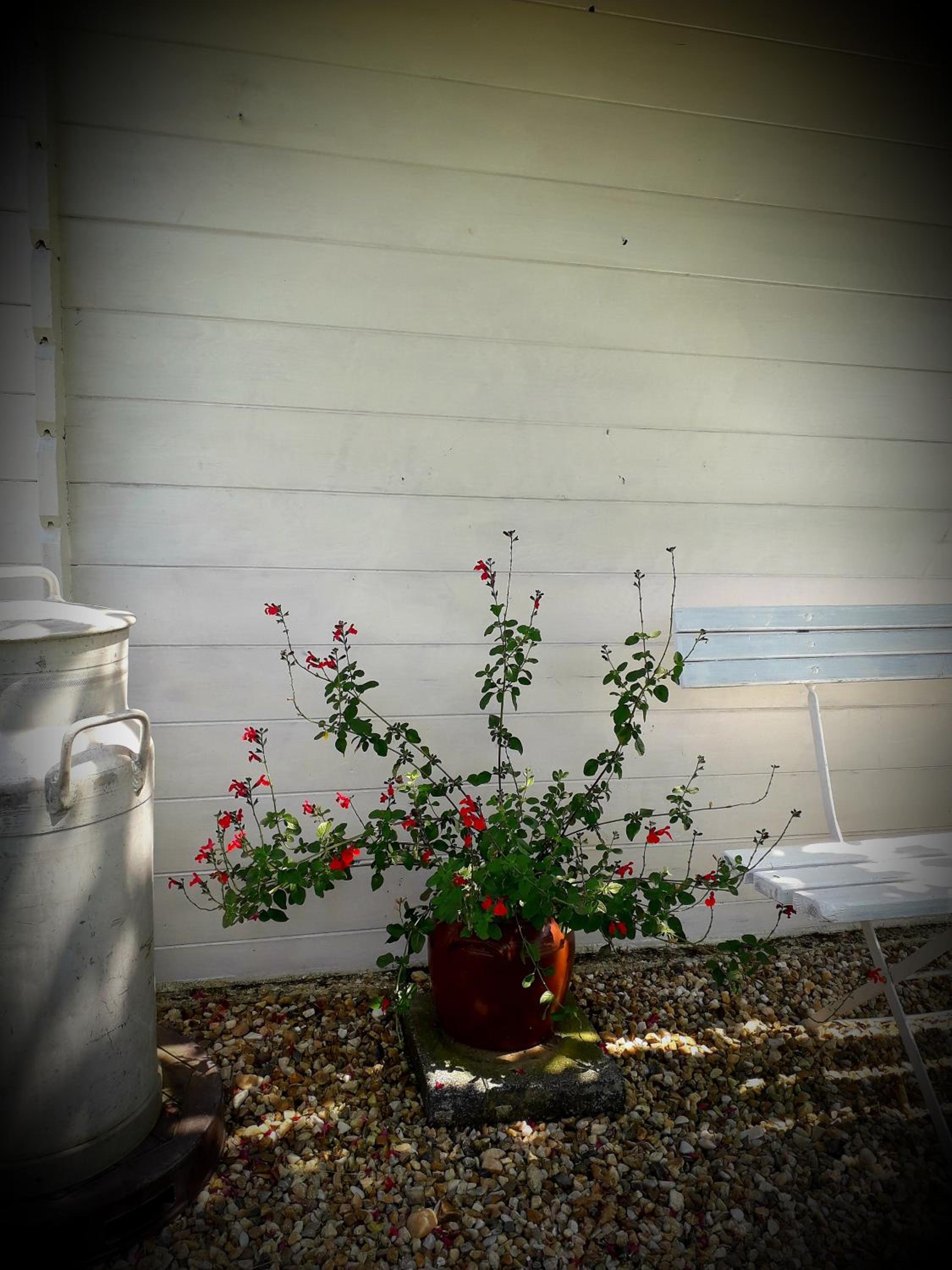 Photo 42