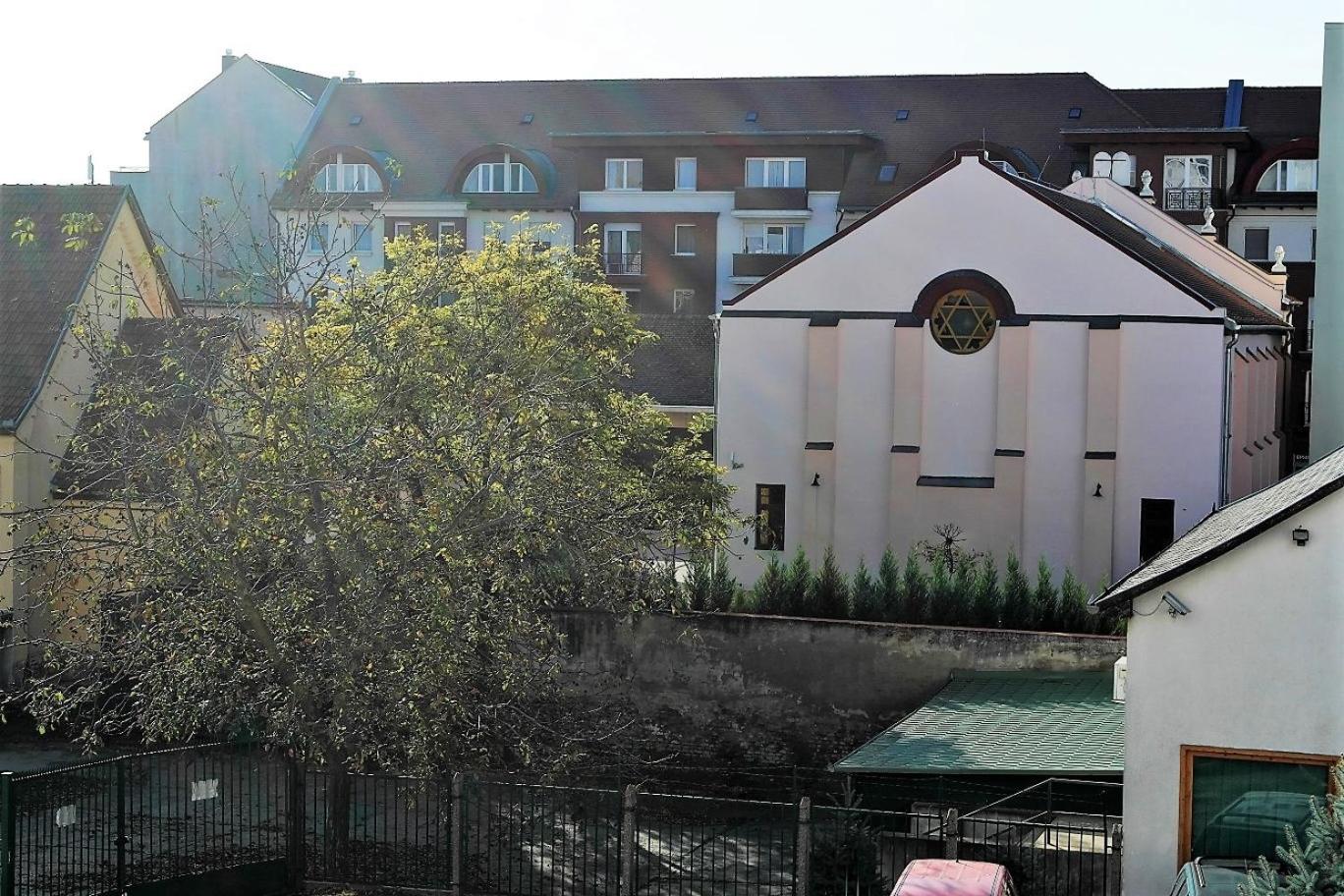 Photo 13
