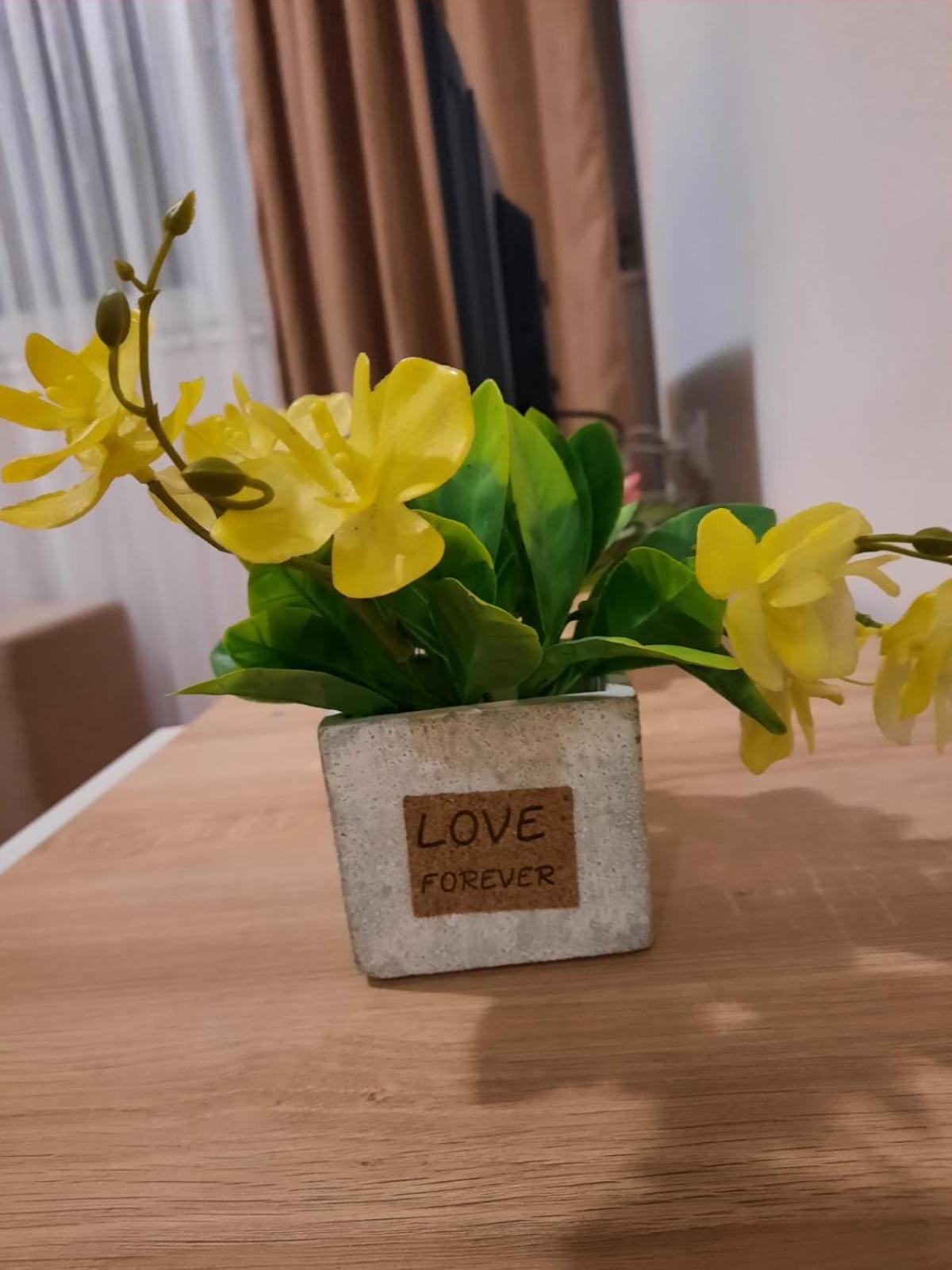 Apartman Rada 2