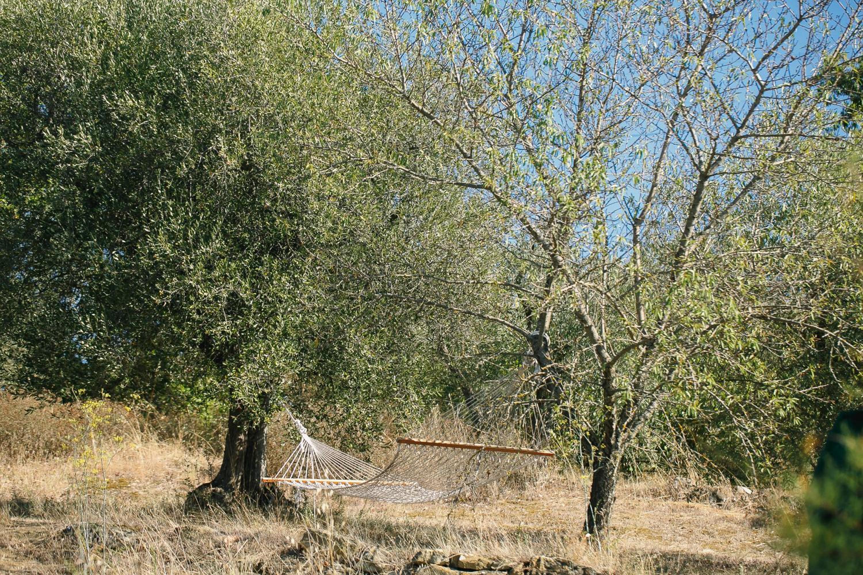 Photo 50