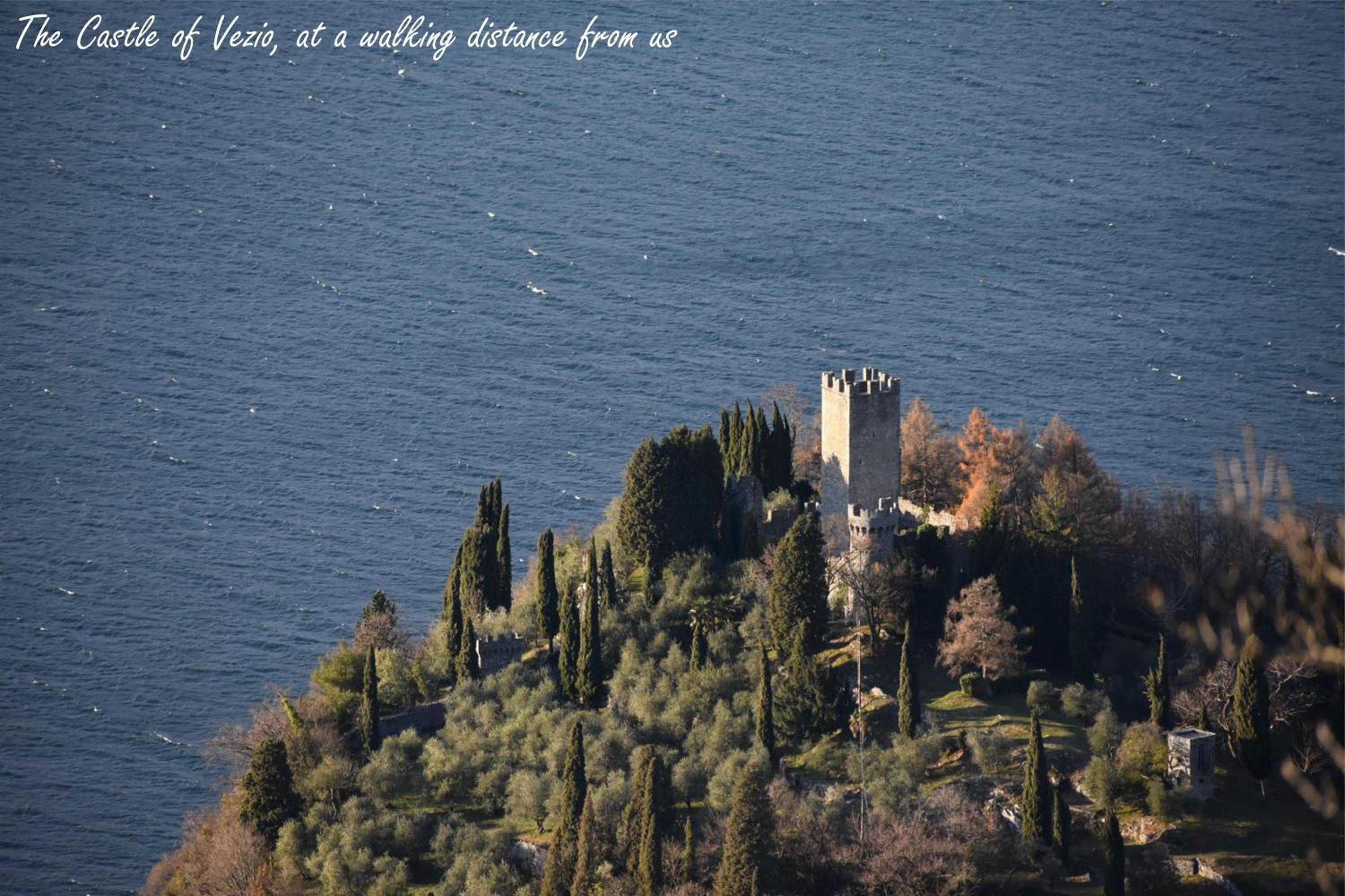 Photo 46
