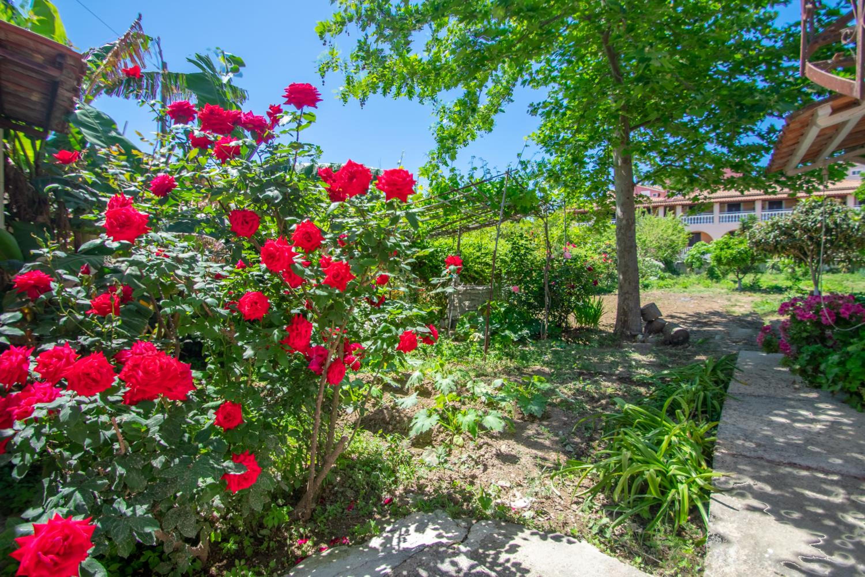 Dora's Tsilivi Beach House A by "elite" photo 5