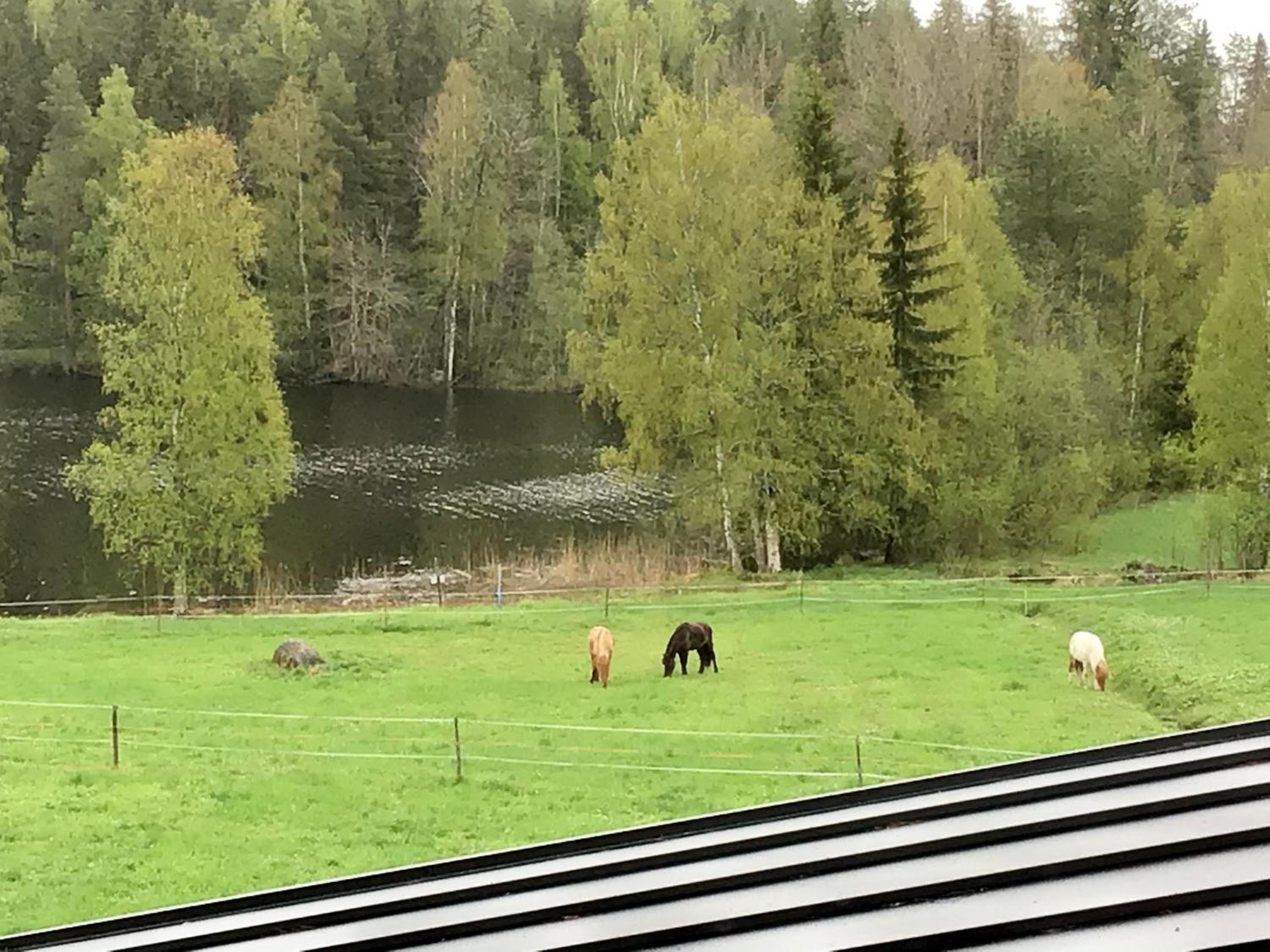 Purola Farm Guesthouse view 5