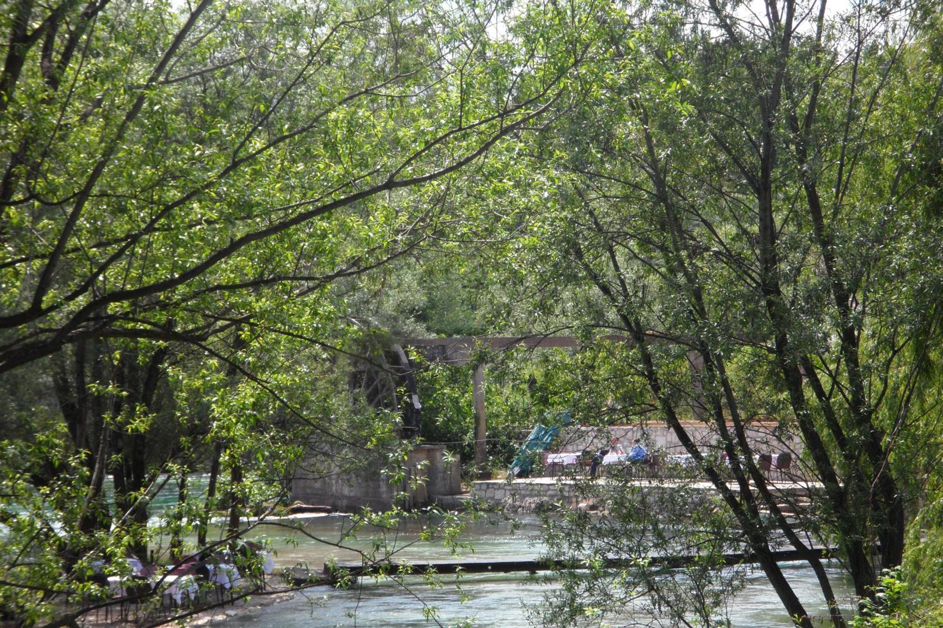 Photo 12