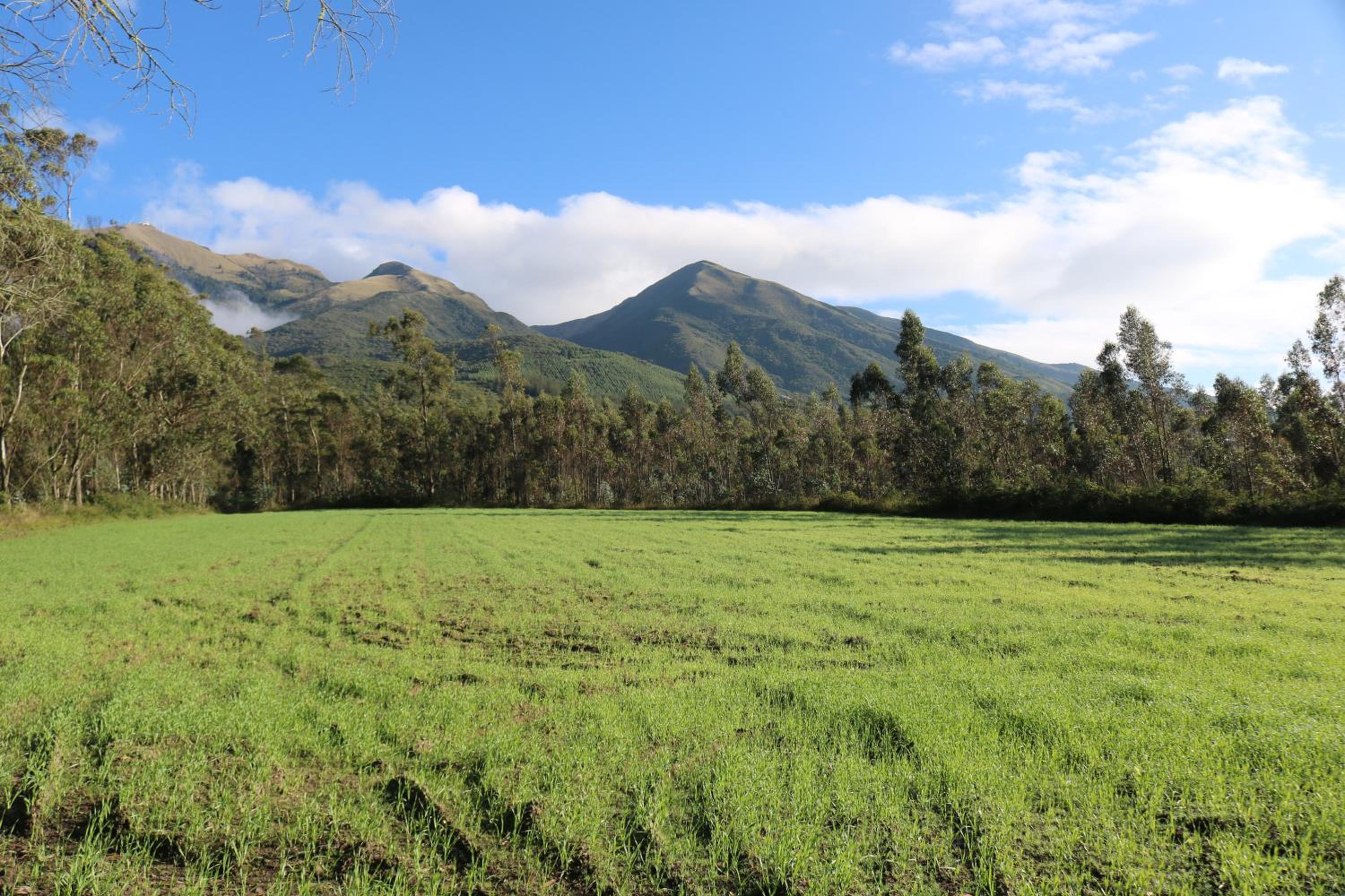 Hacienda San Isidro Trails & Experiences