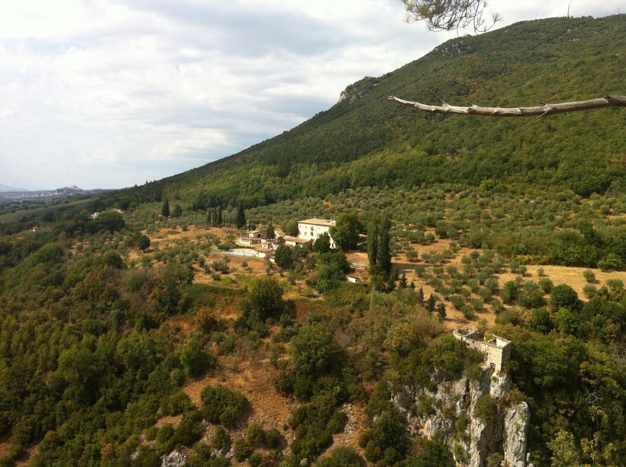 Photo 29